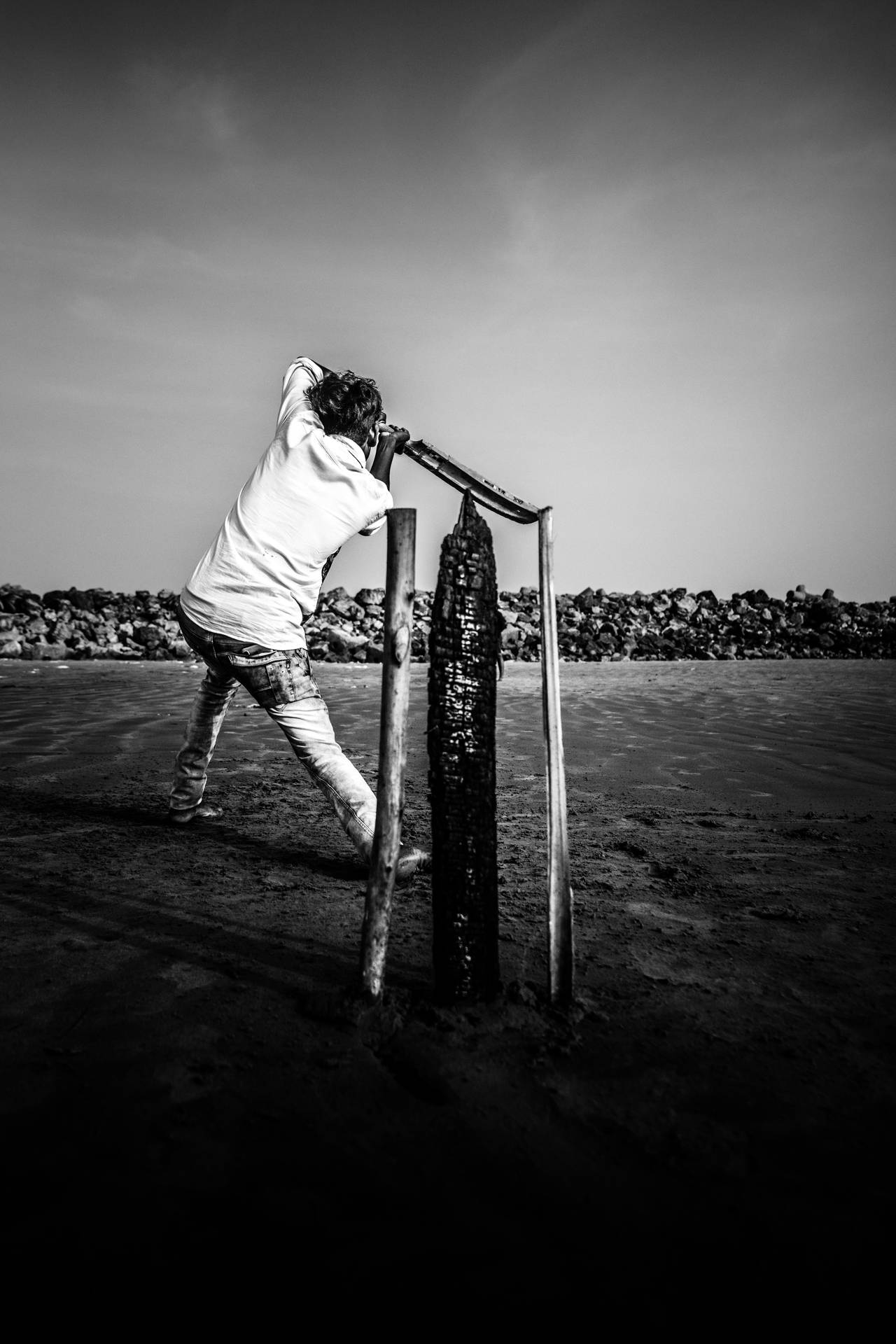 Cricket Black And White Photograph