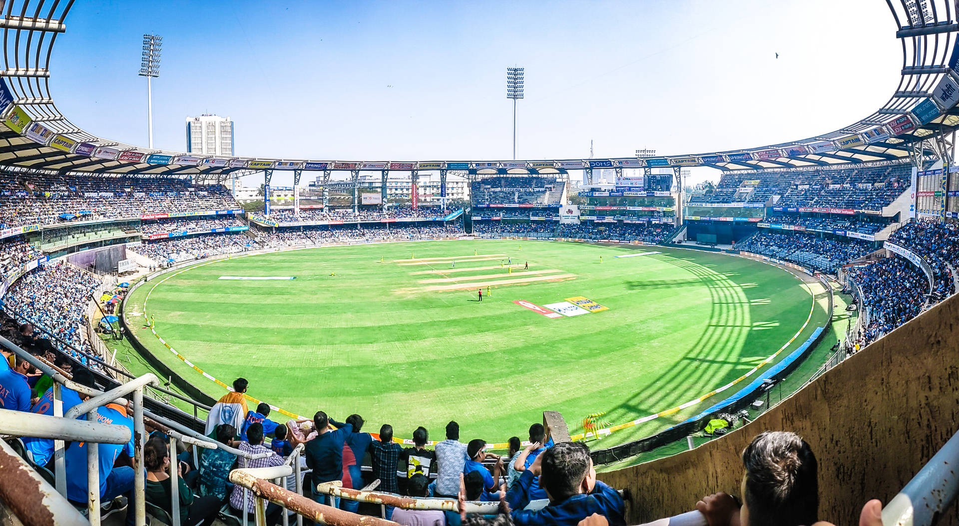Cricket Open Wide Stadium