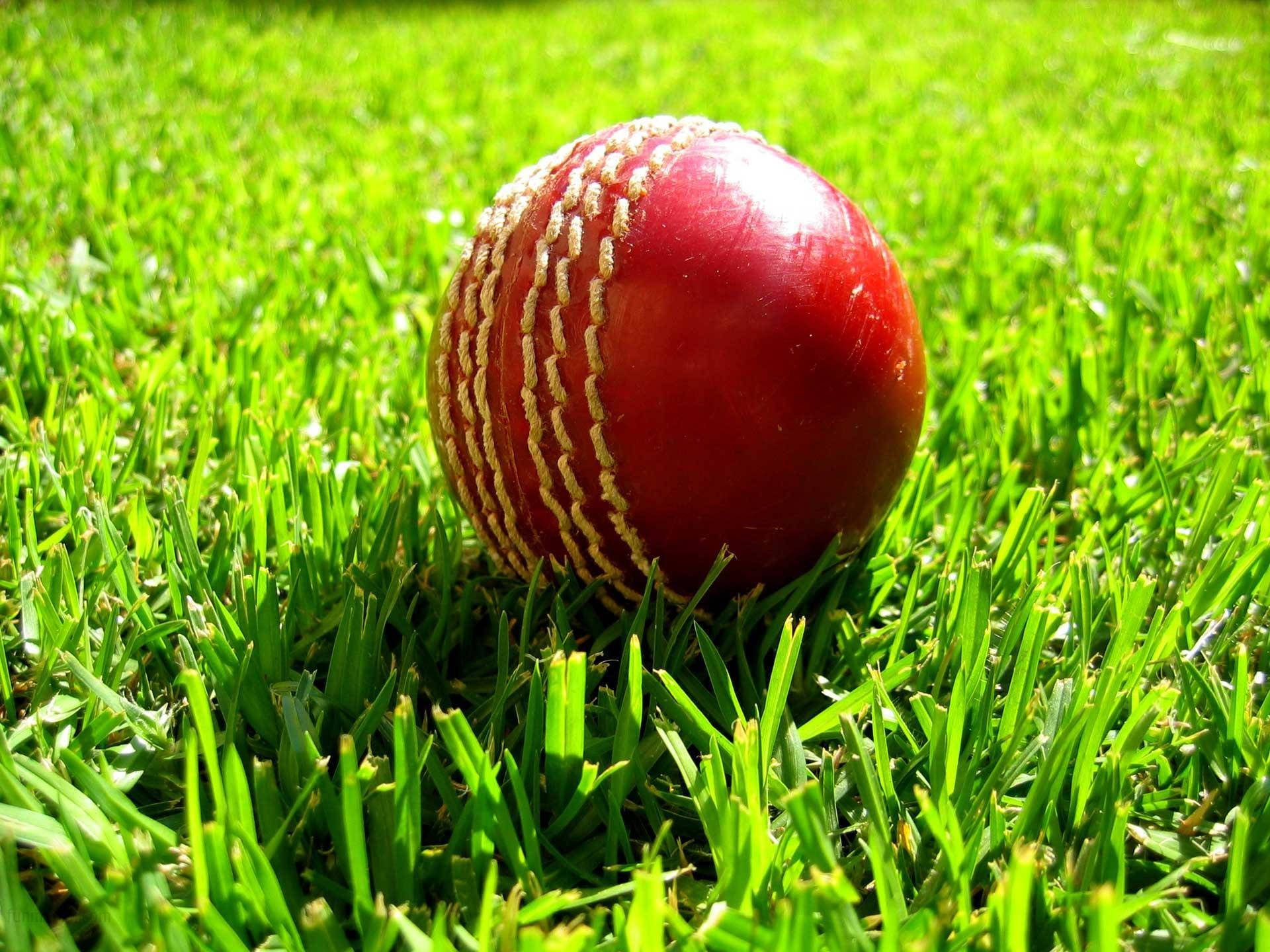 Cricket Red Kookaburras On A Green Grass Background