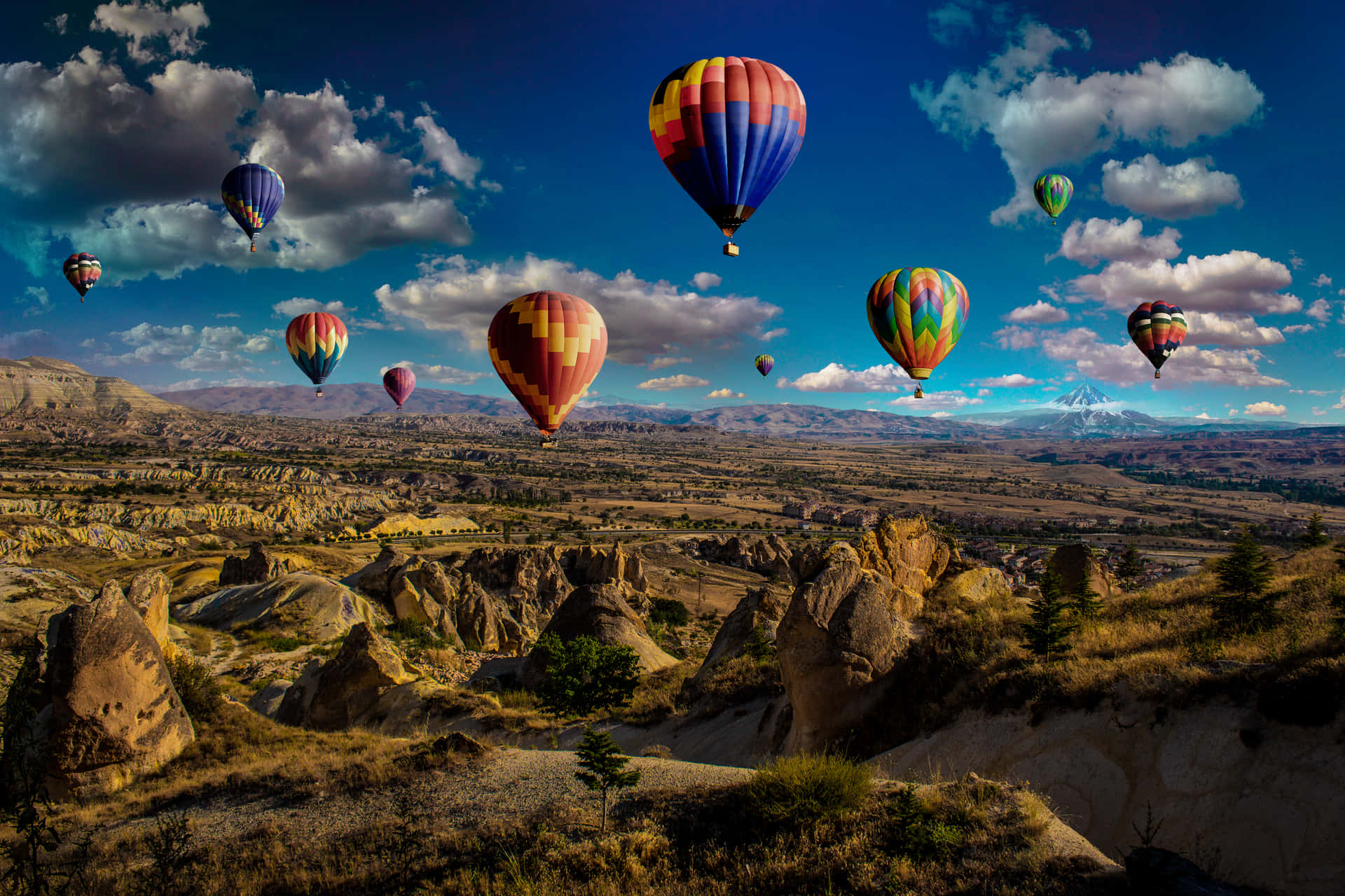 Crisp Hot Air Balloons [wallpaper] Background