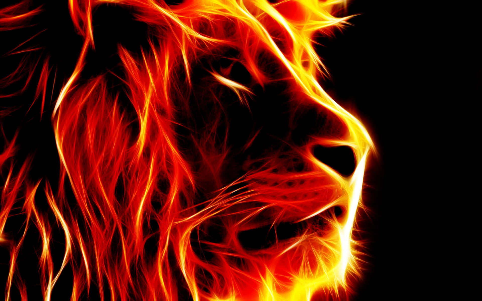 Crisp Lion On Fire [wallpaper] Background