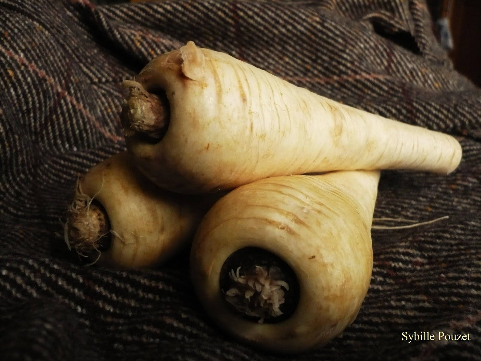 Crisp Parsnip Root Vegetable Crops Background