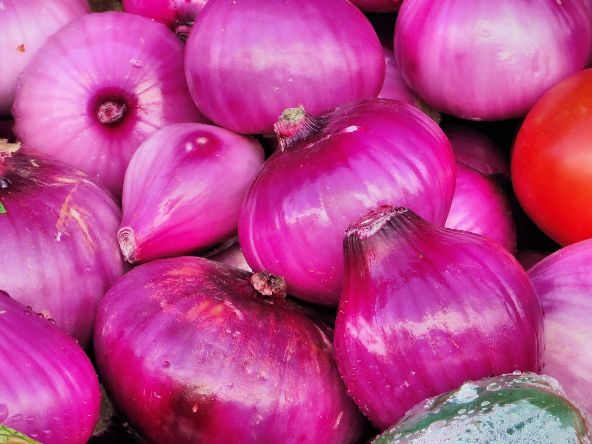 Crisp Pinkish Peeled Onion Collection Background