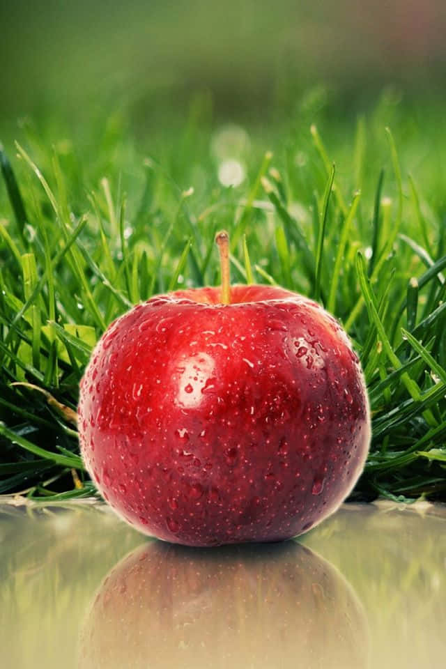 Crisp Red Apple [wallpaper] Background
