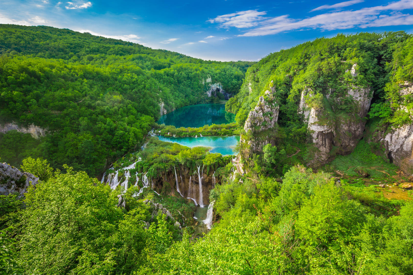 Croatia Forest Reserve Background