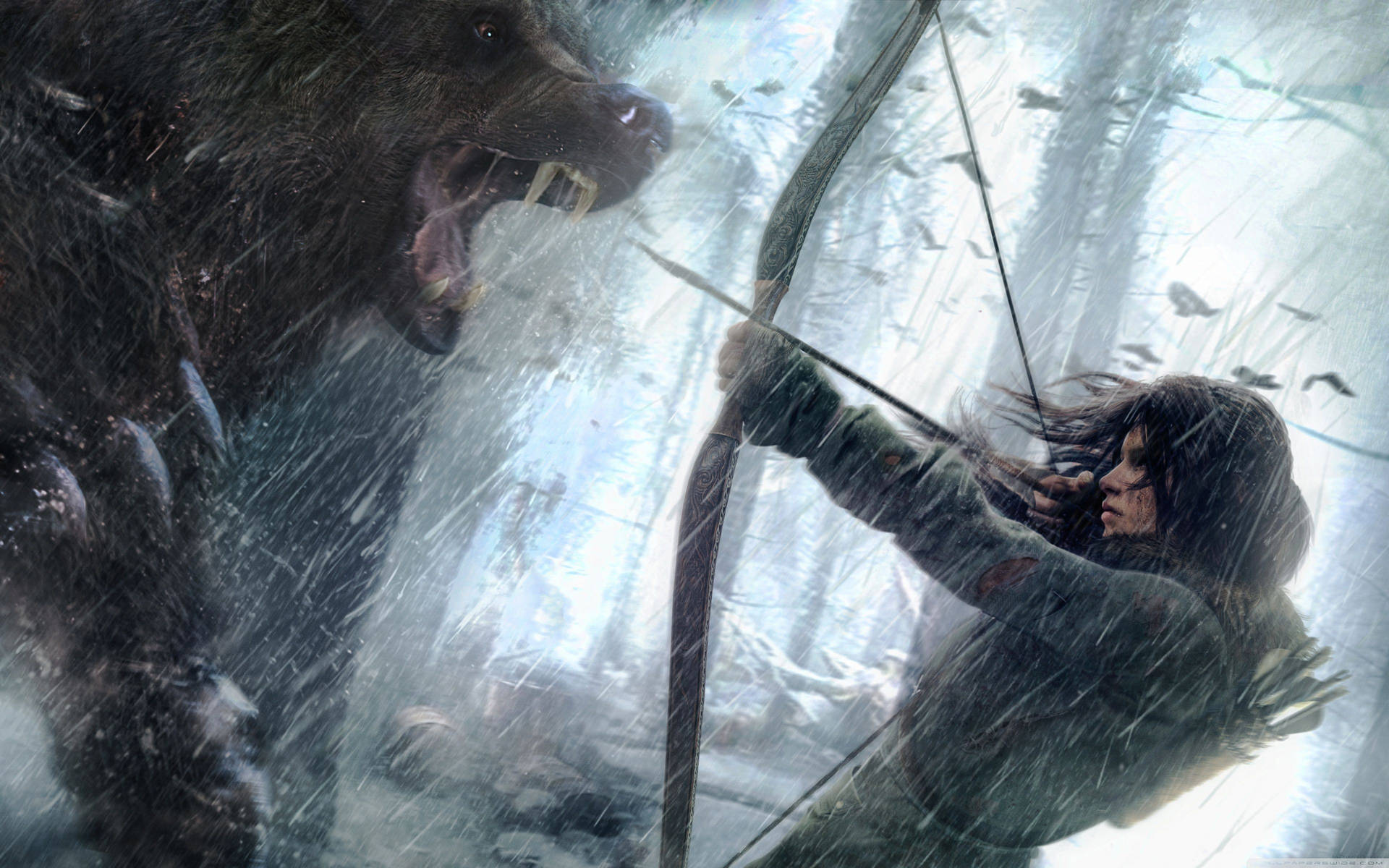 Croft Versus Black Bear Tomb Raider Background