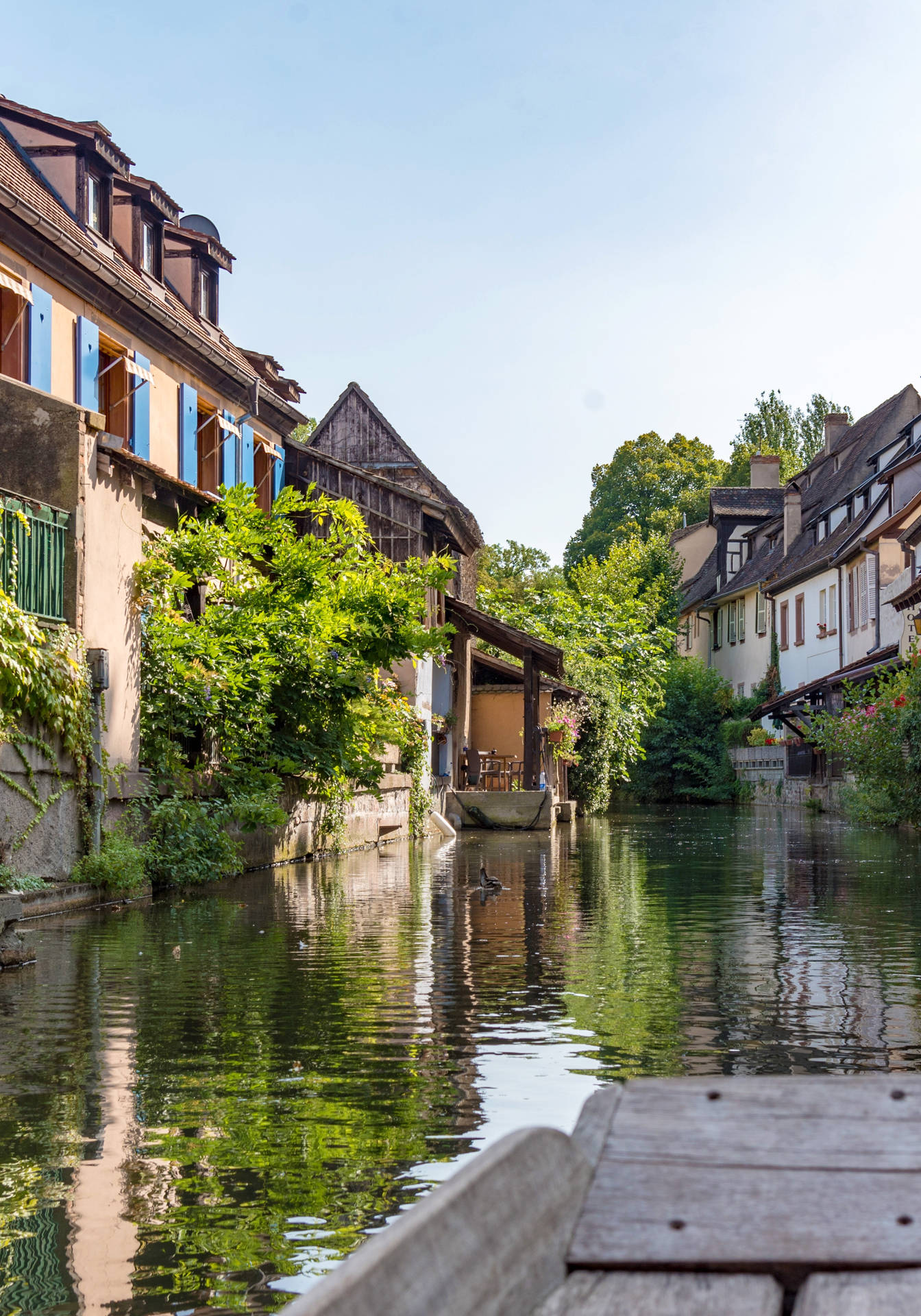 Crooked Timber House In France Background