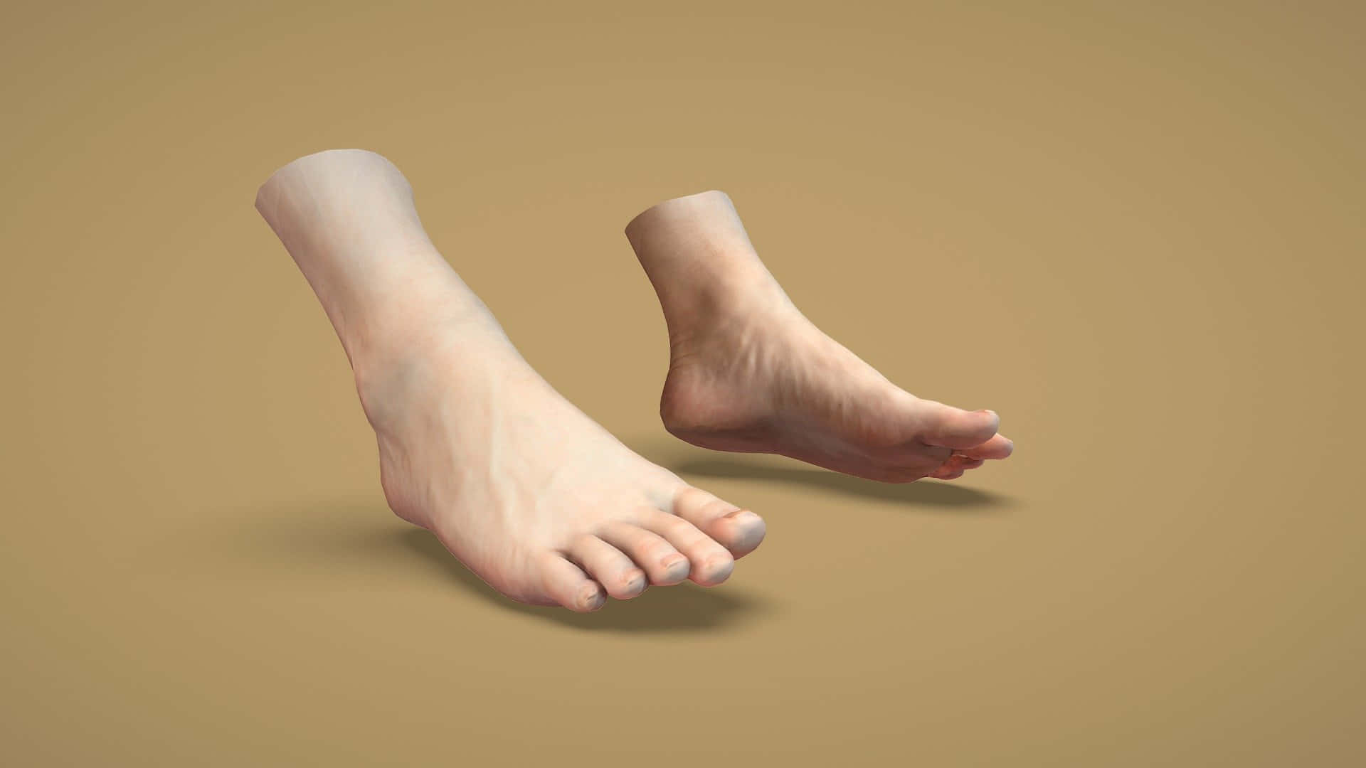 Cropped 3d Male Feet Background