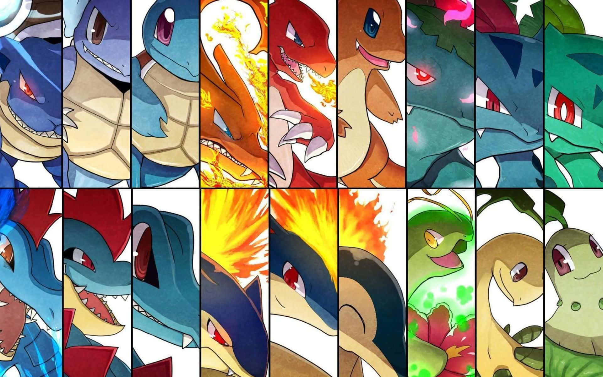 Cropped Faces Of Wartortle And Other Pokémon