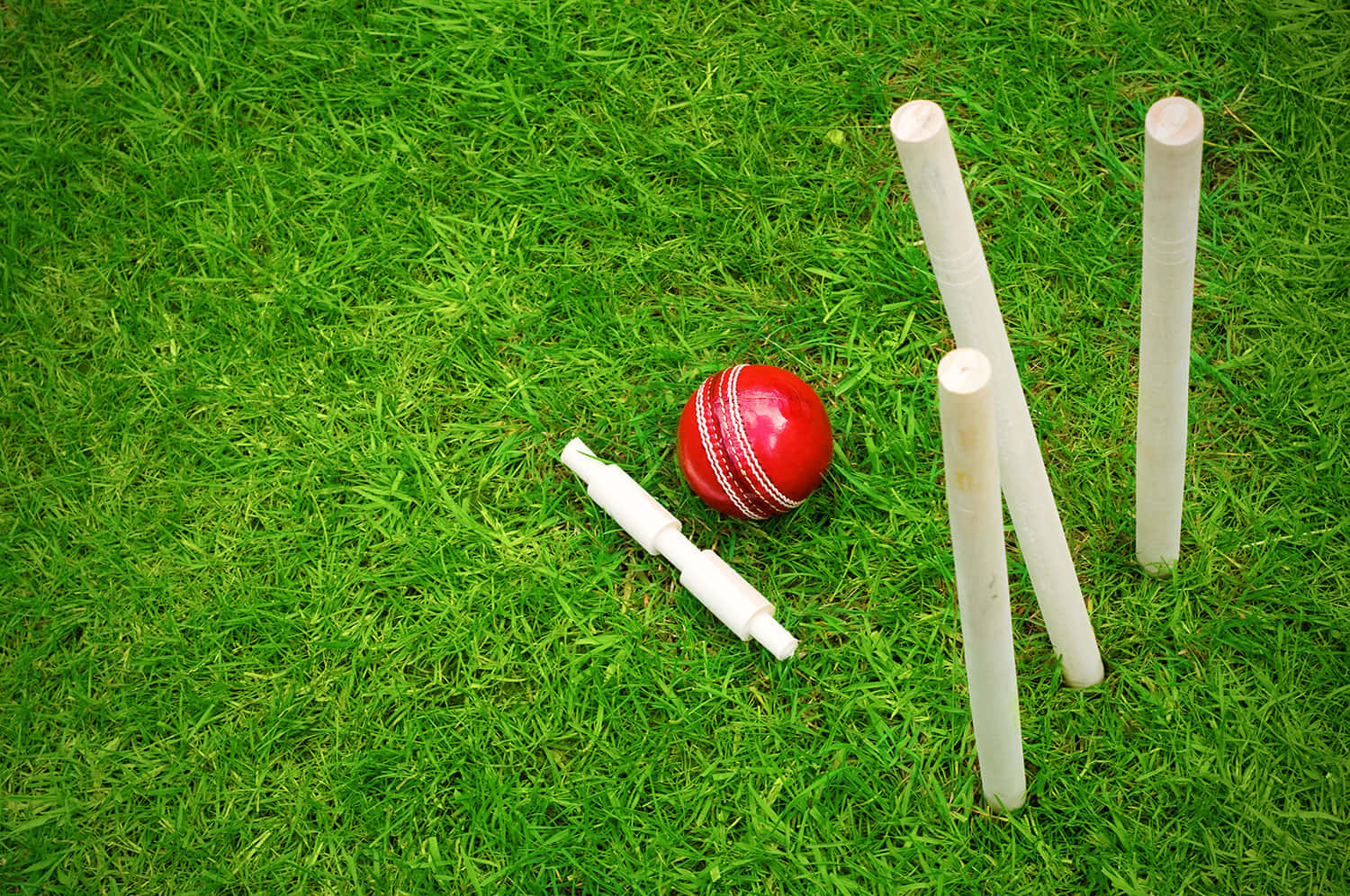 Croquet Balland Malletson Grass.jpg Background