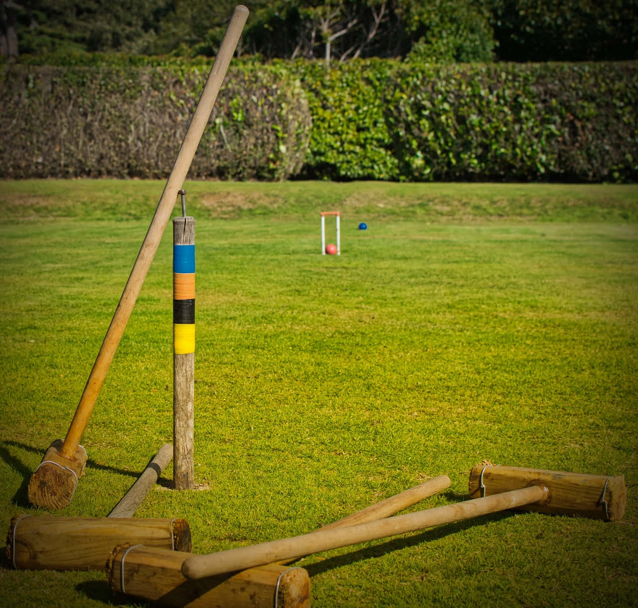 Croquet Game Equipmenton Lawn.jpg Background