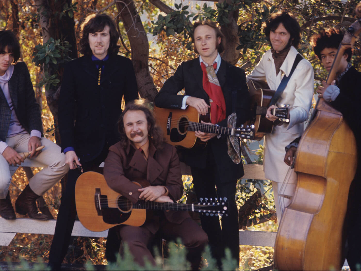 Crosby, Stills, Nash & Young Forest Background