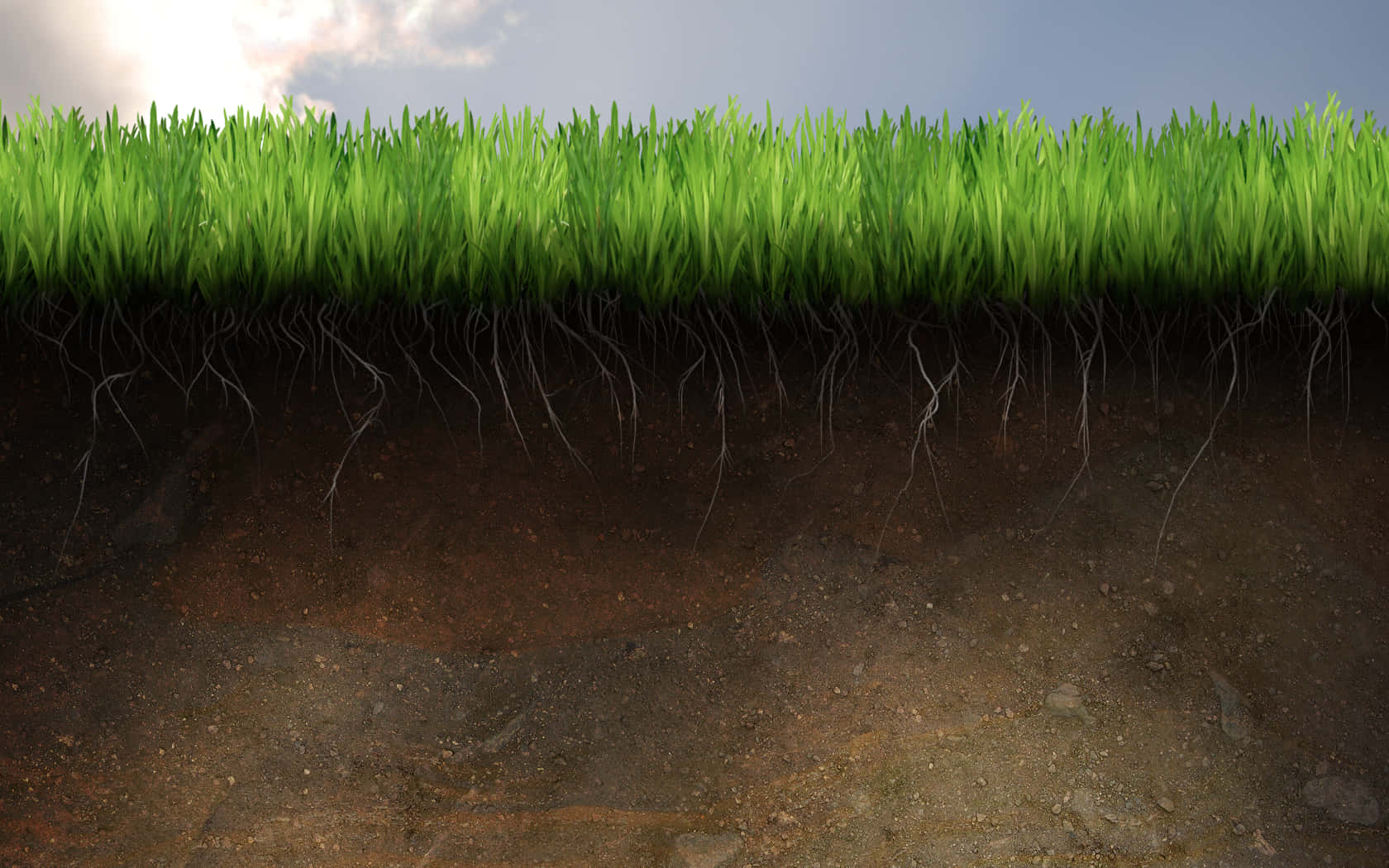 Cross Section Of Grass And Soil Background