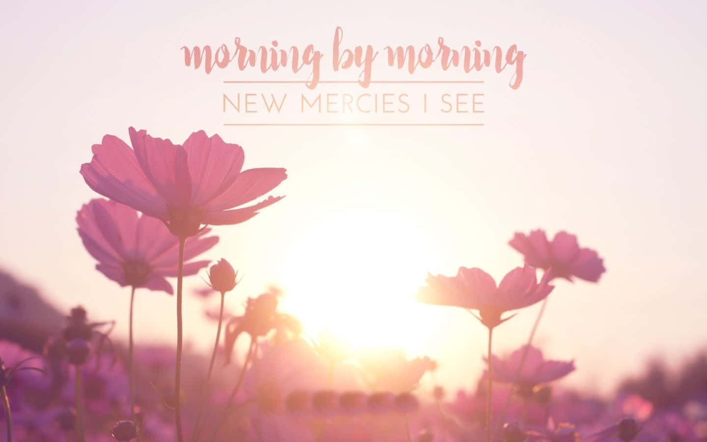 Crosscards Computer Aesthetic Morning Quote Background