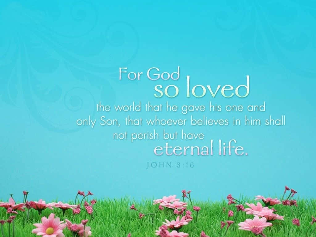 Crosscards Computer Bible Verse Nature Background