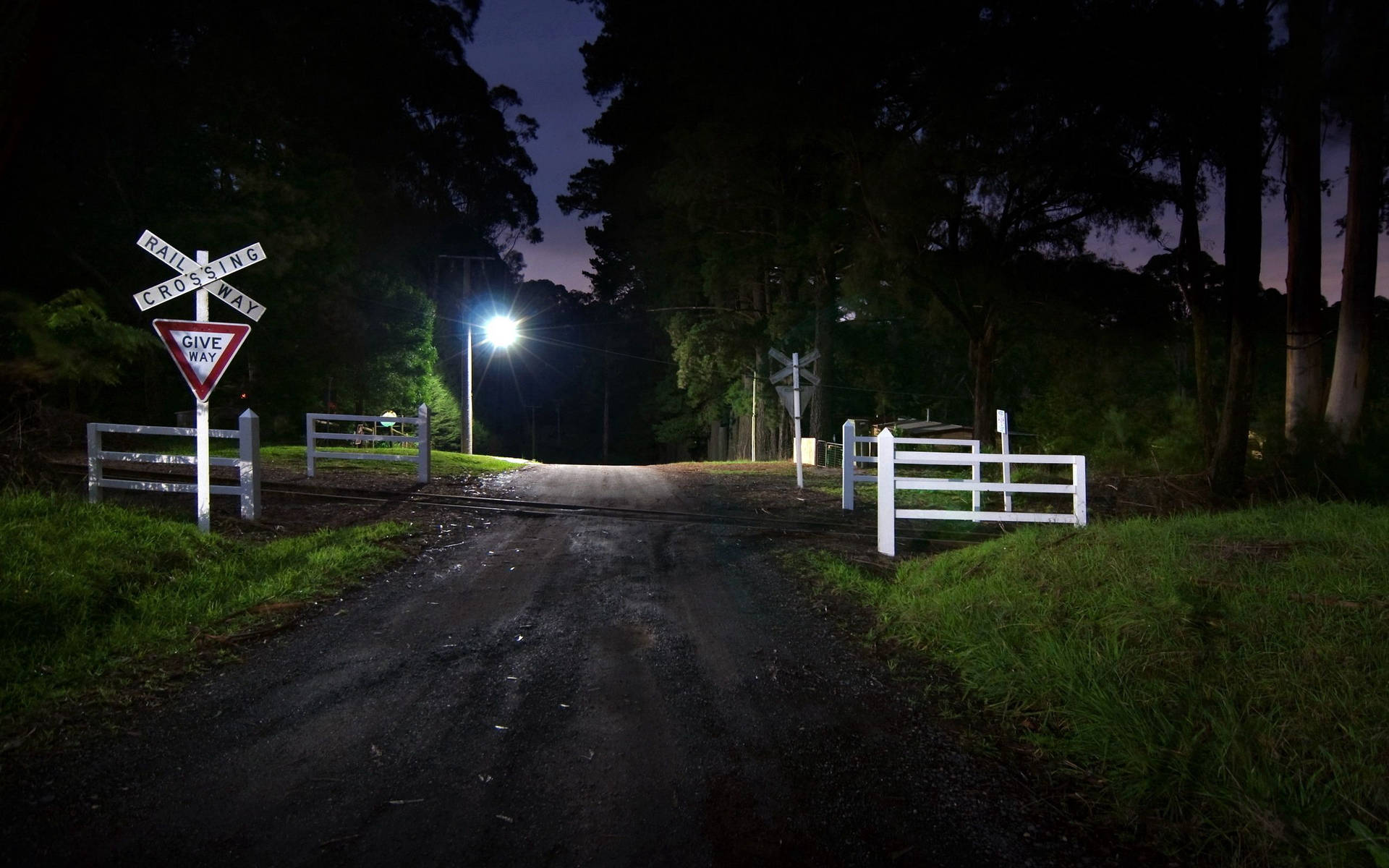 Crossing Roads At Night
