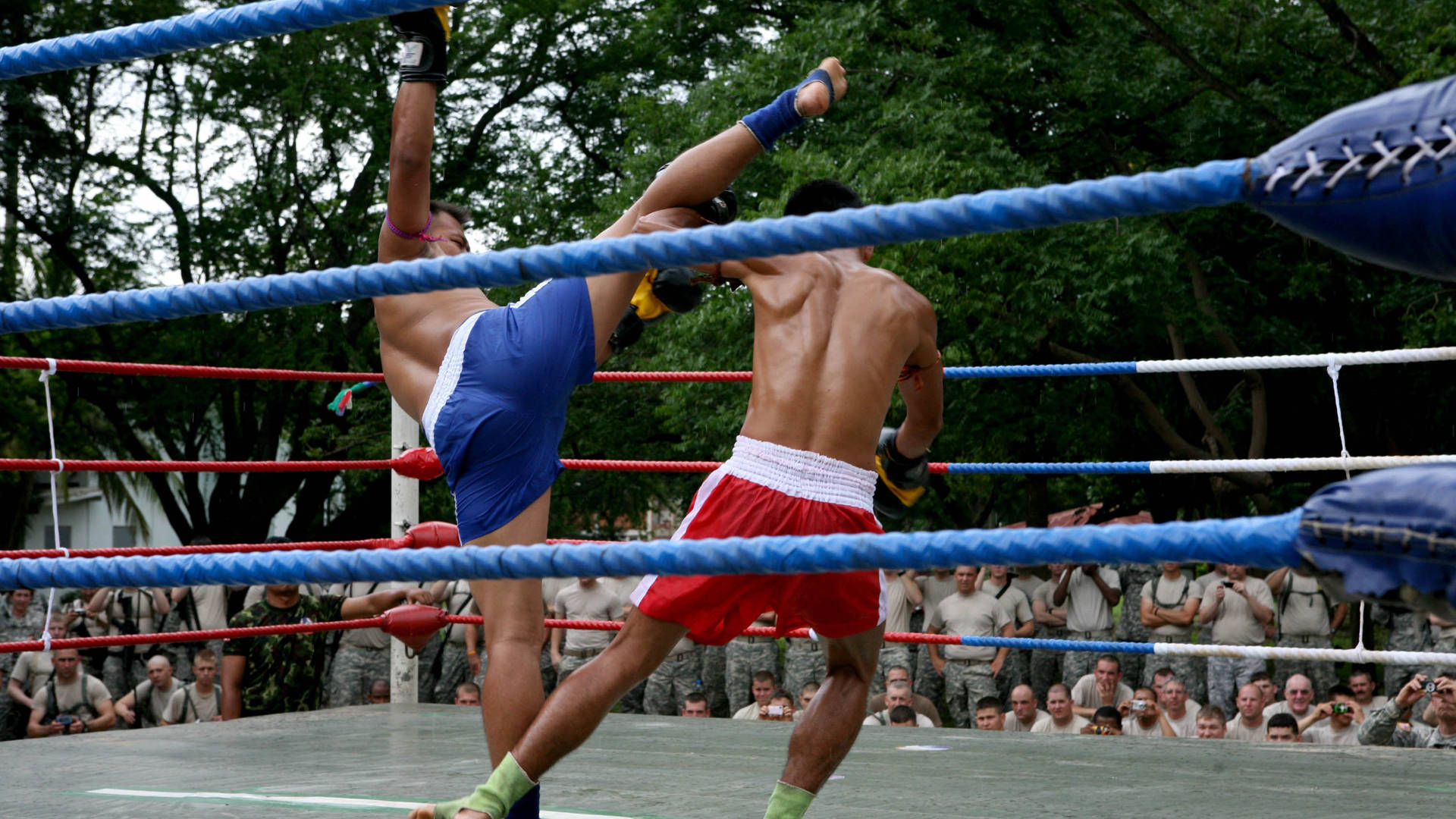 Crowded Muay Thai Match Background