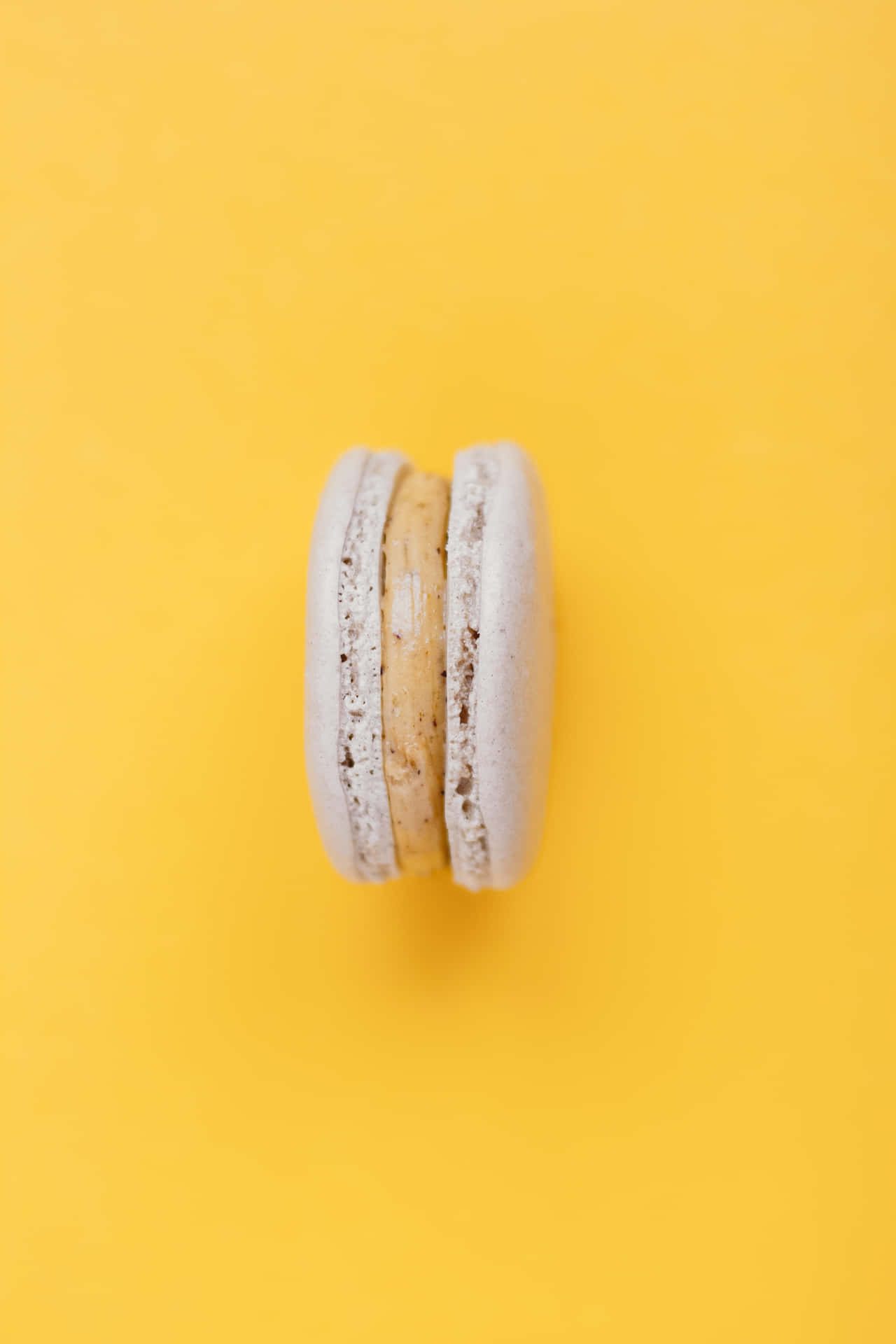 Crusty Cookie Yellow Portrait