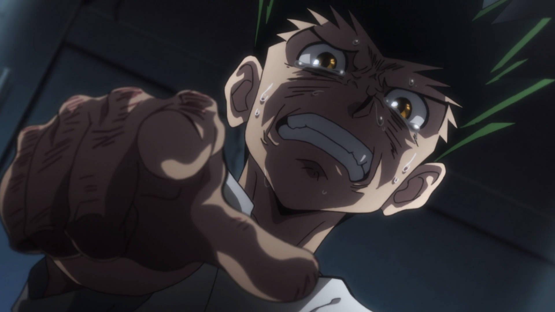 Crying Gon Freecss