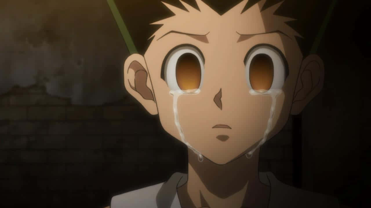 Crying Gon Hxh Pfp