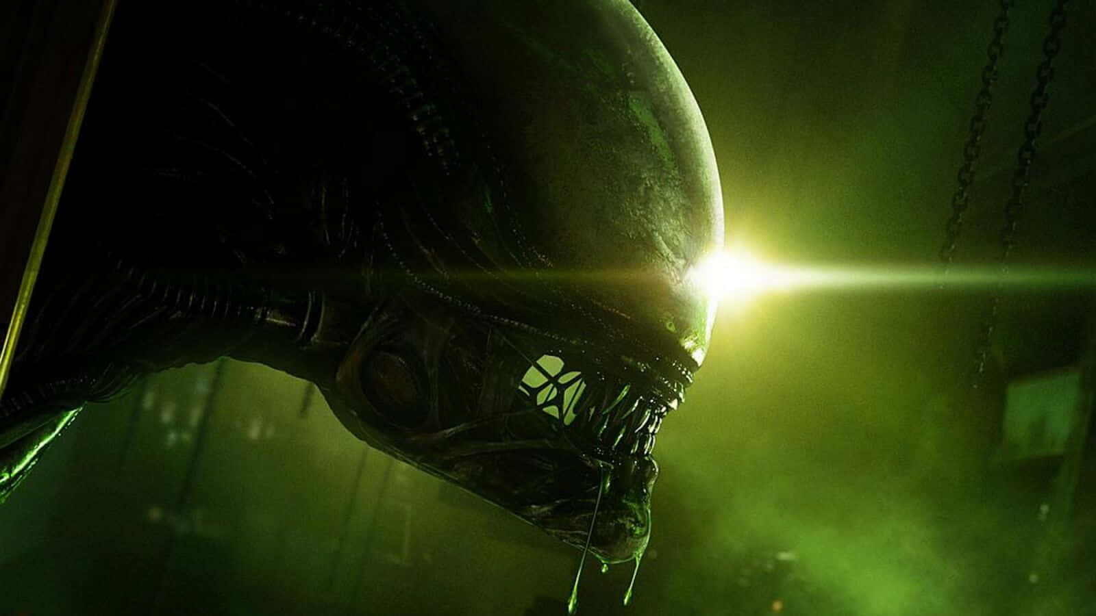 Cryptic Alien Invasion Background