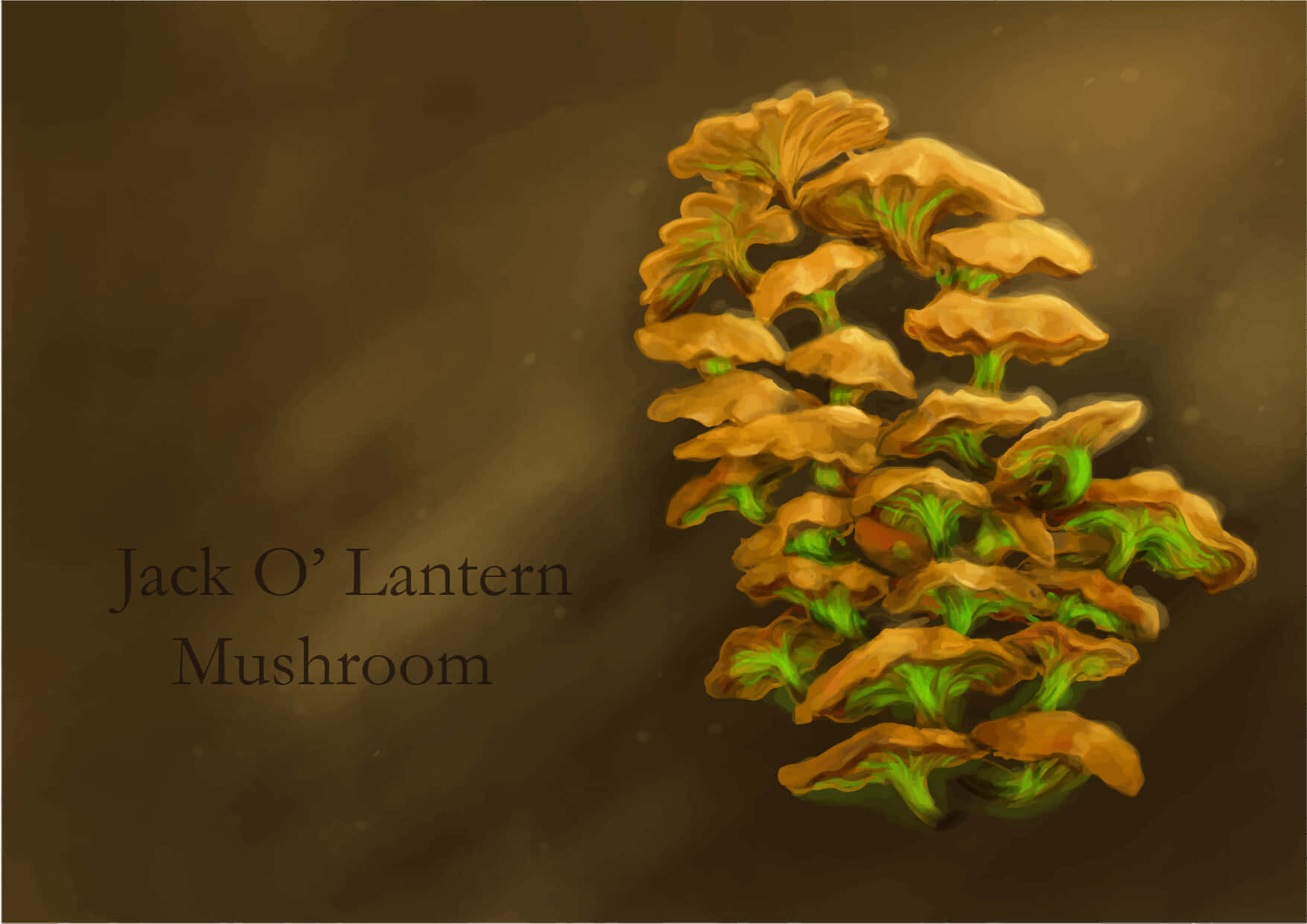 Cryptic Lantern Mushroom