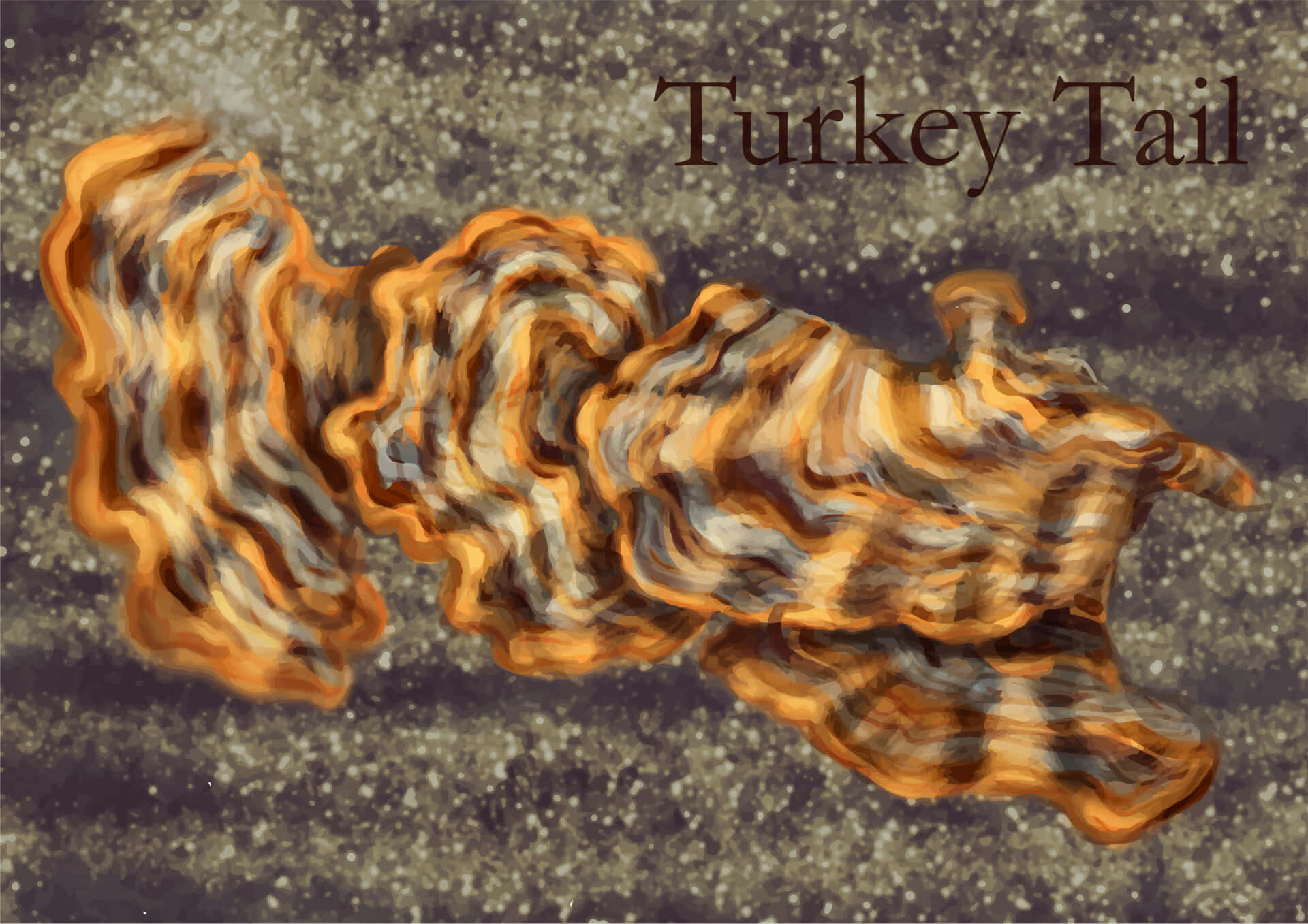 Cryptic Turkey Tail Painting