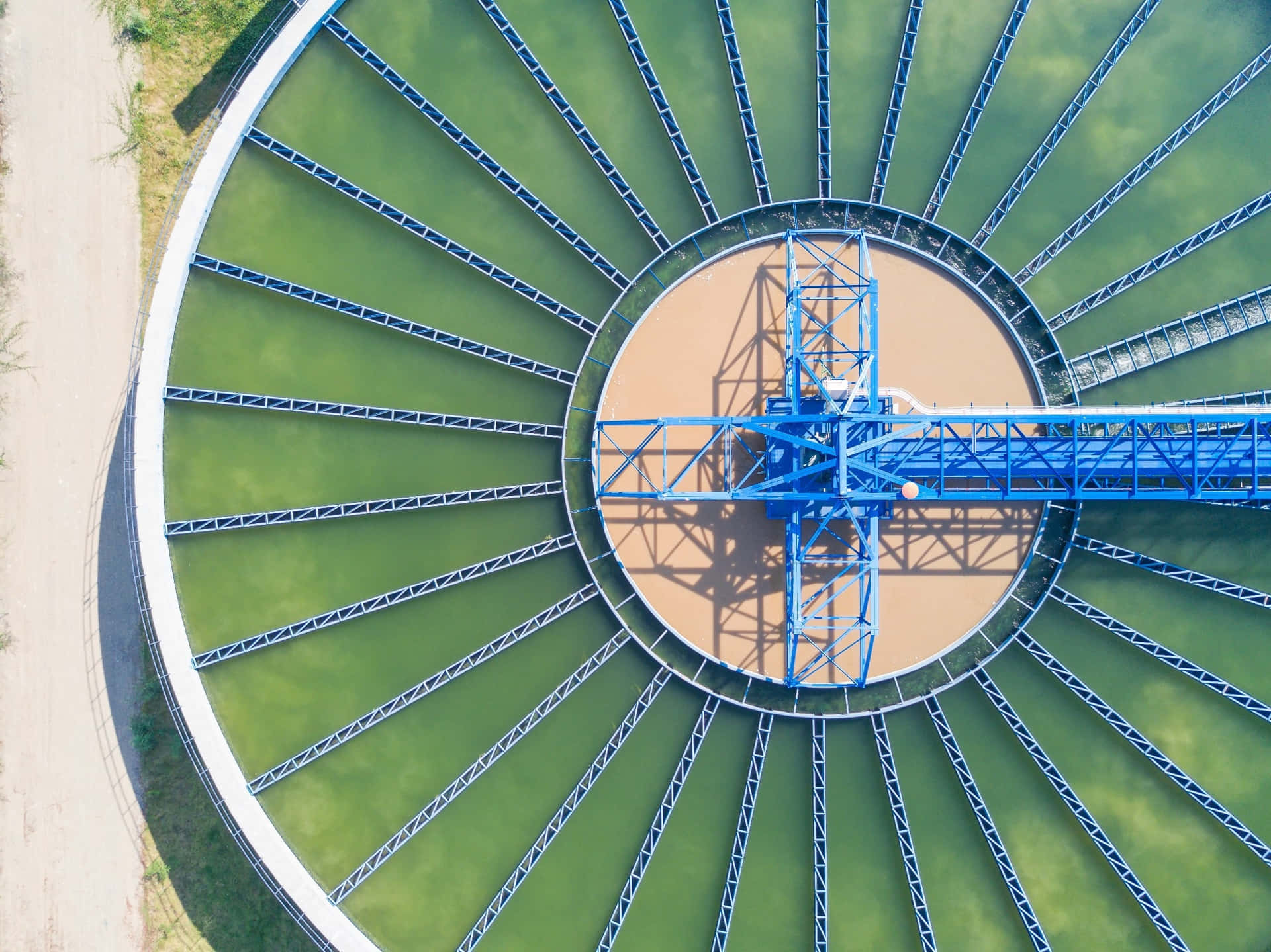 Cryptic Water Tank Treatment
