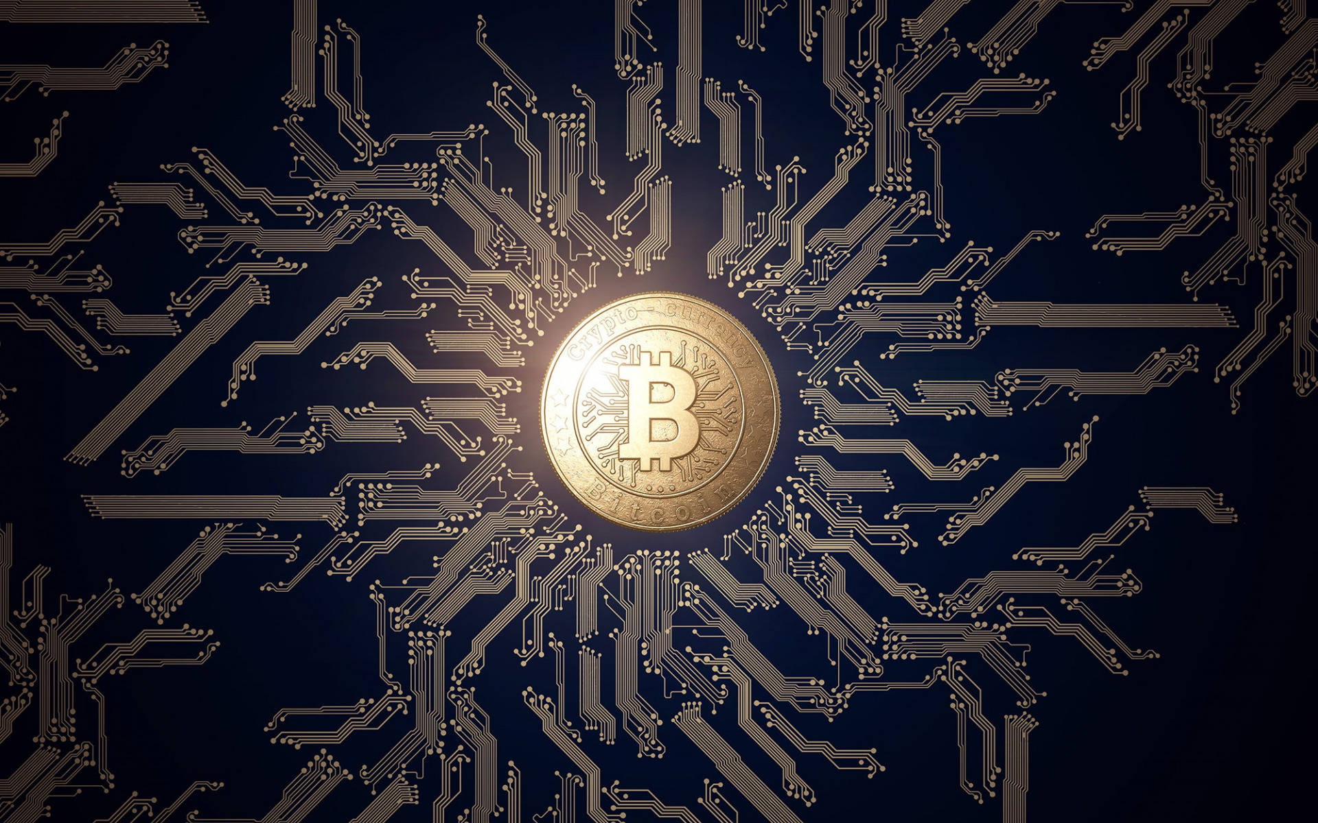 Crypto Bitcoin In Navy Blue Motherboard