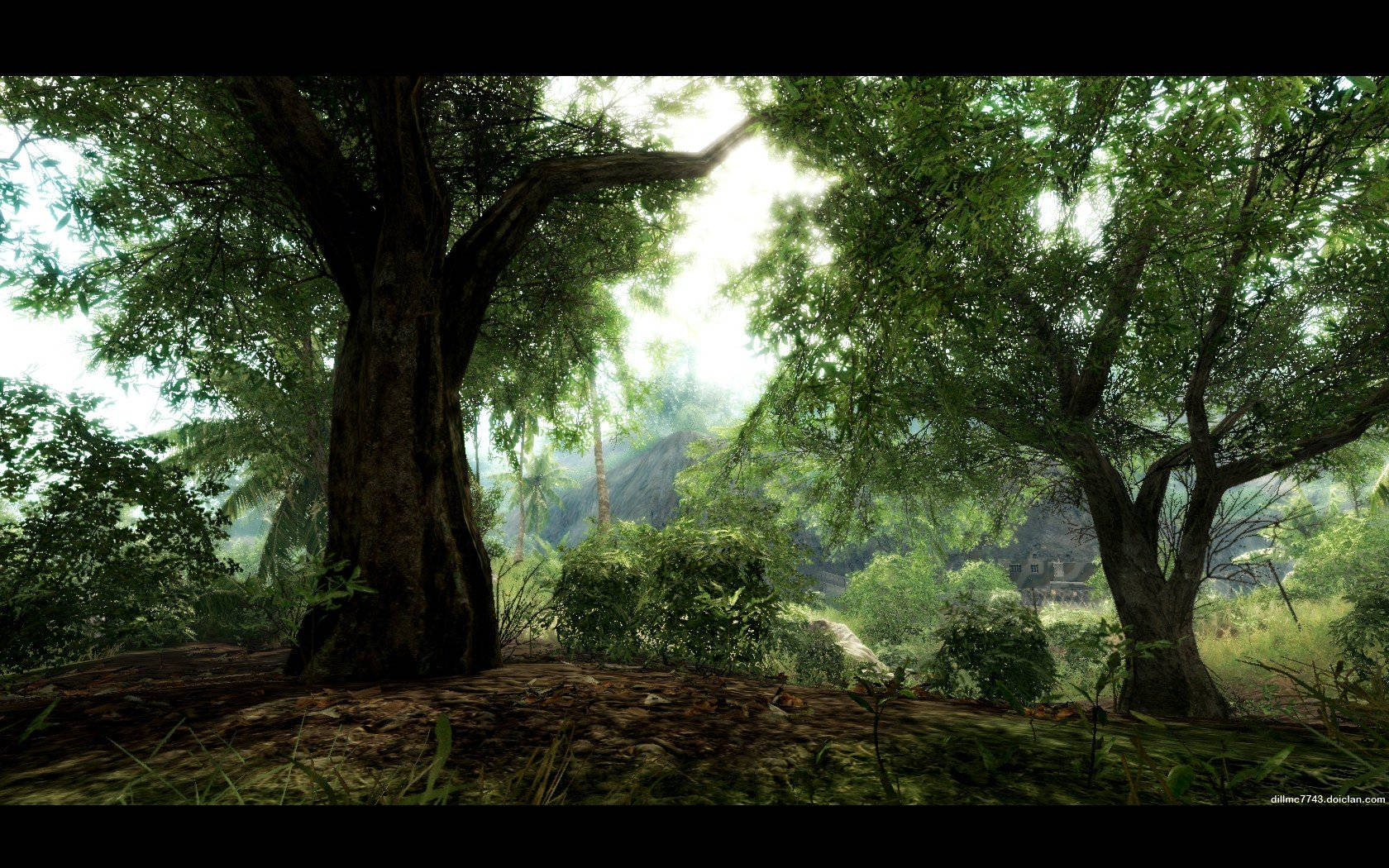 Crysis Warhead Trees Background
