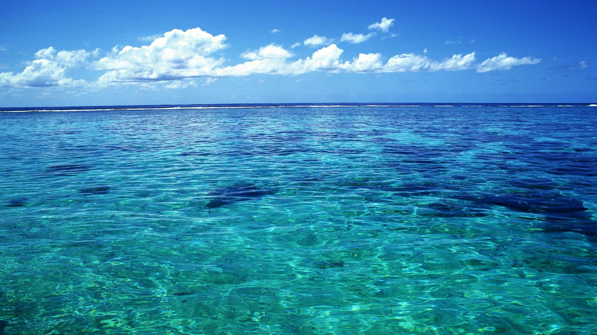 Crystal_ Clear_ Ocean_ View.jpg Background