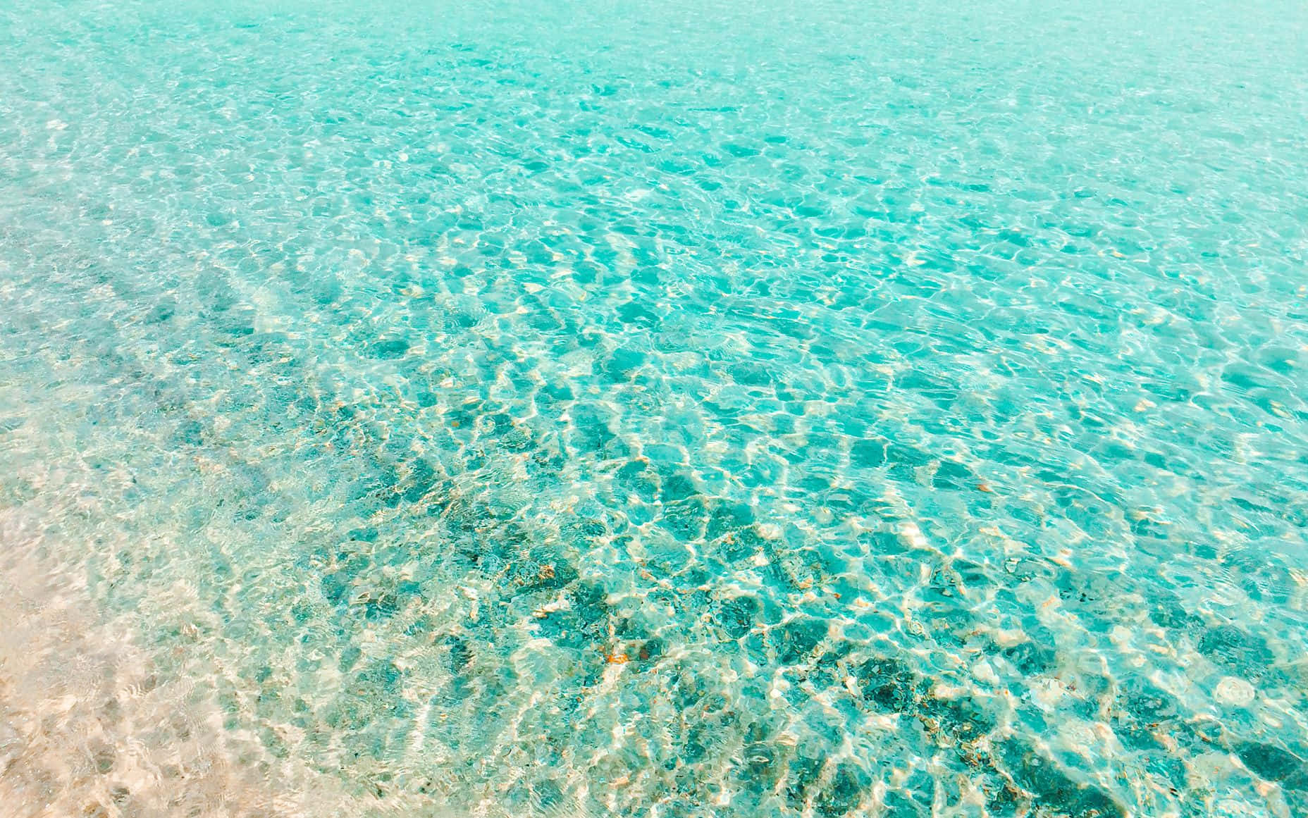 Crystal_ Clear_ Turquoise_ Waters.jpg Background