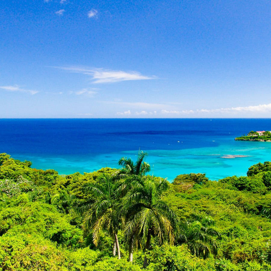 Crystal Clear Waters In Sint Maarten Background