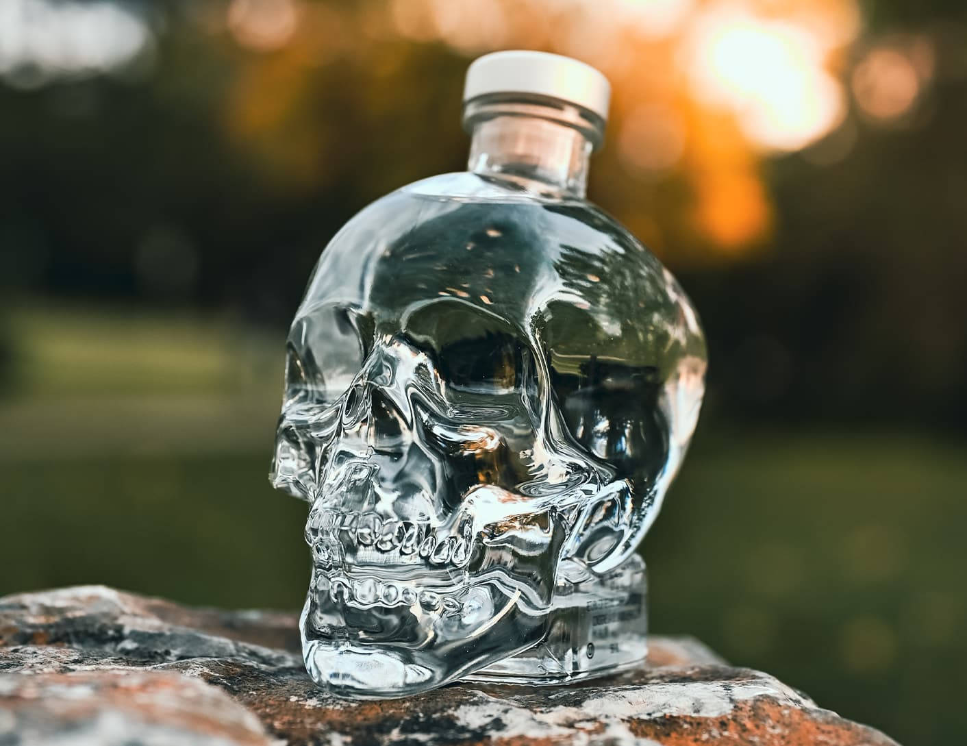 Crystal Head Vodka At The Park Background