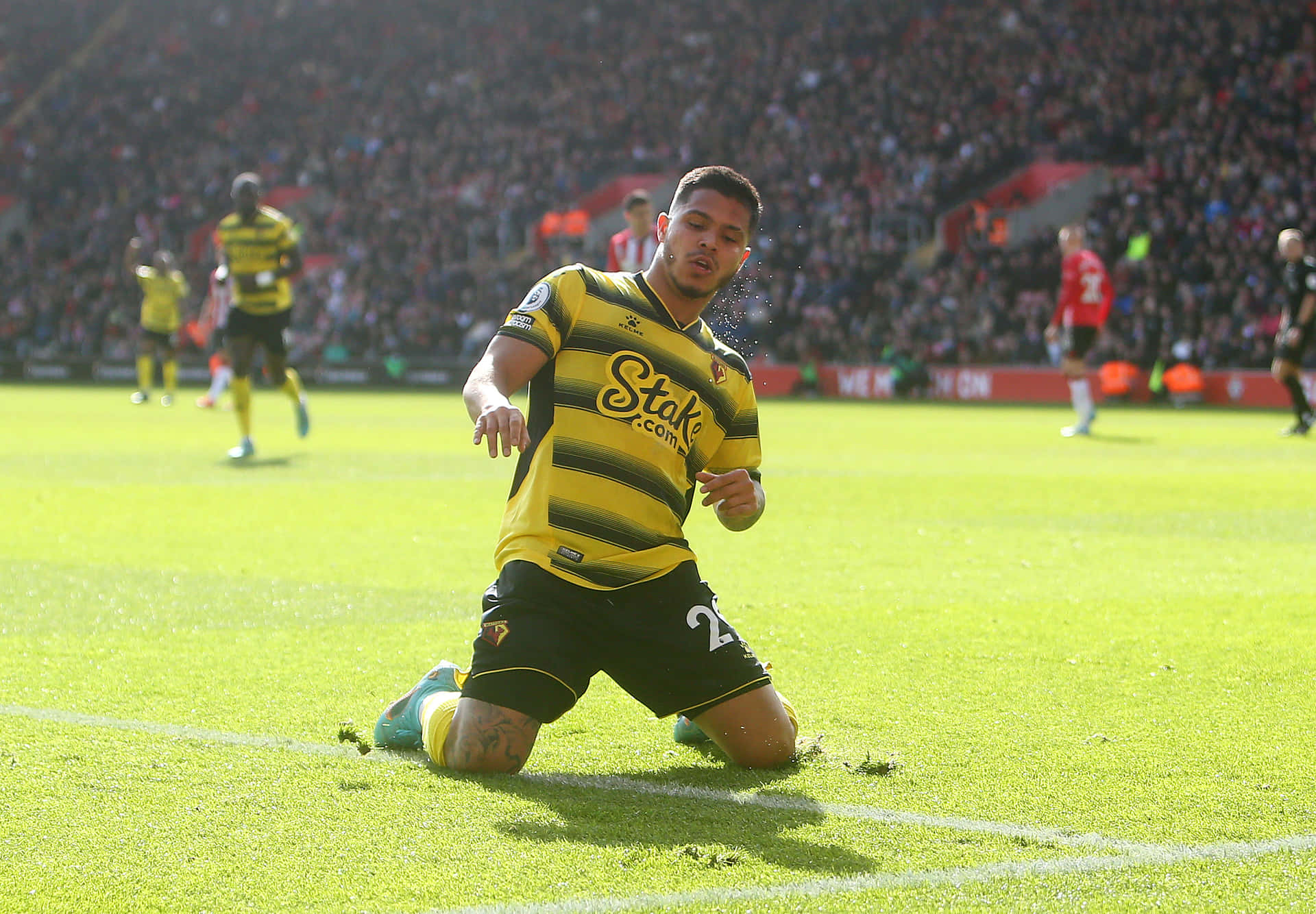 Cucho Hernandez Stakes Watford Football Jersey Background