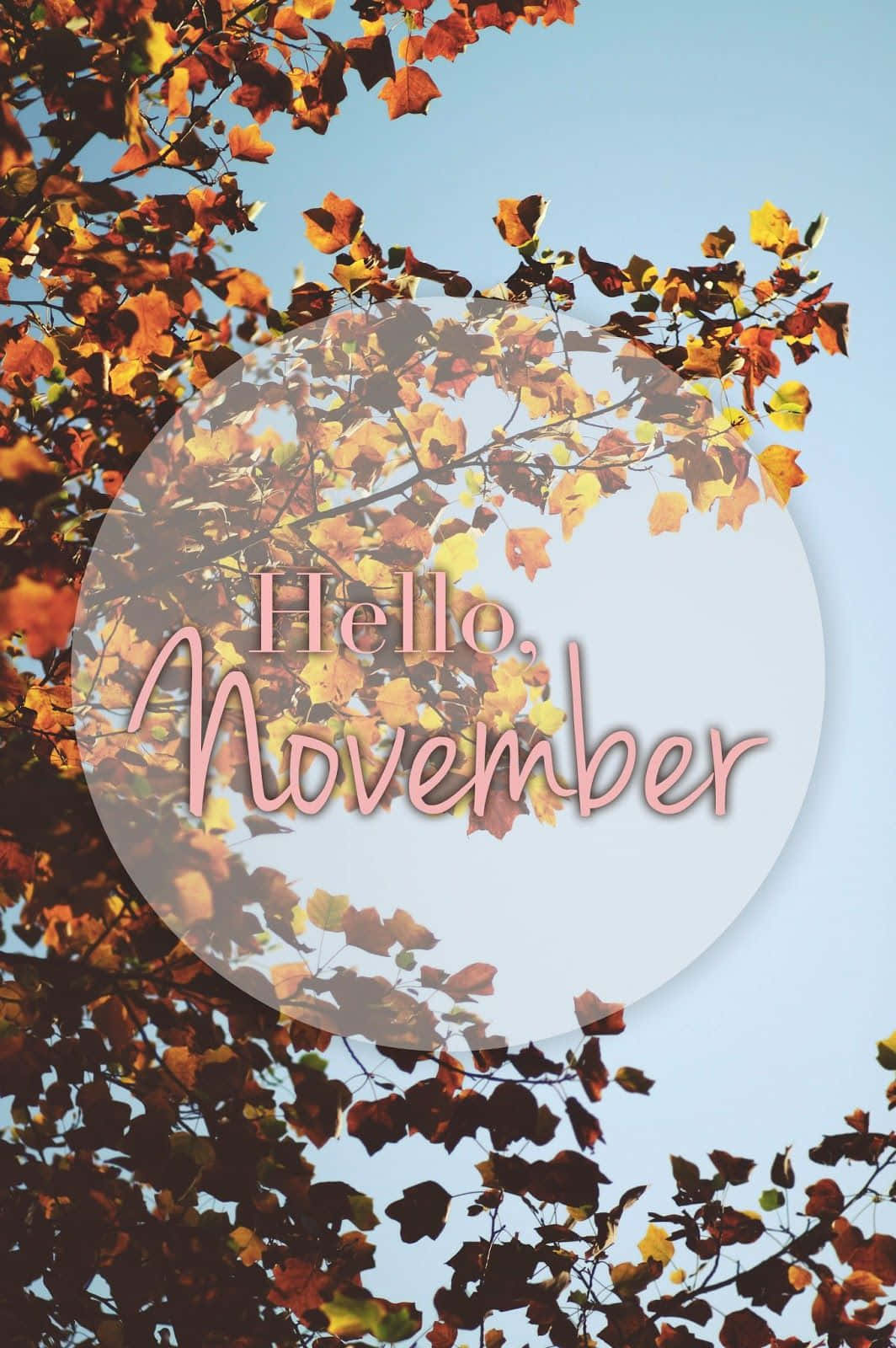 Cuddle Up Close And Enjoy The Warm Cozy Vibes Of November Background