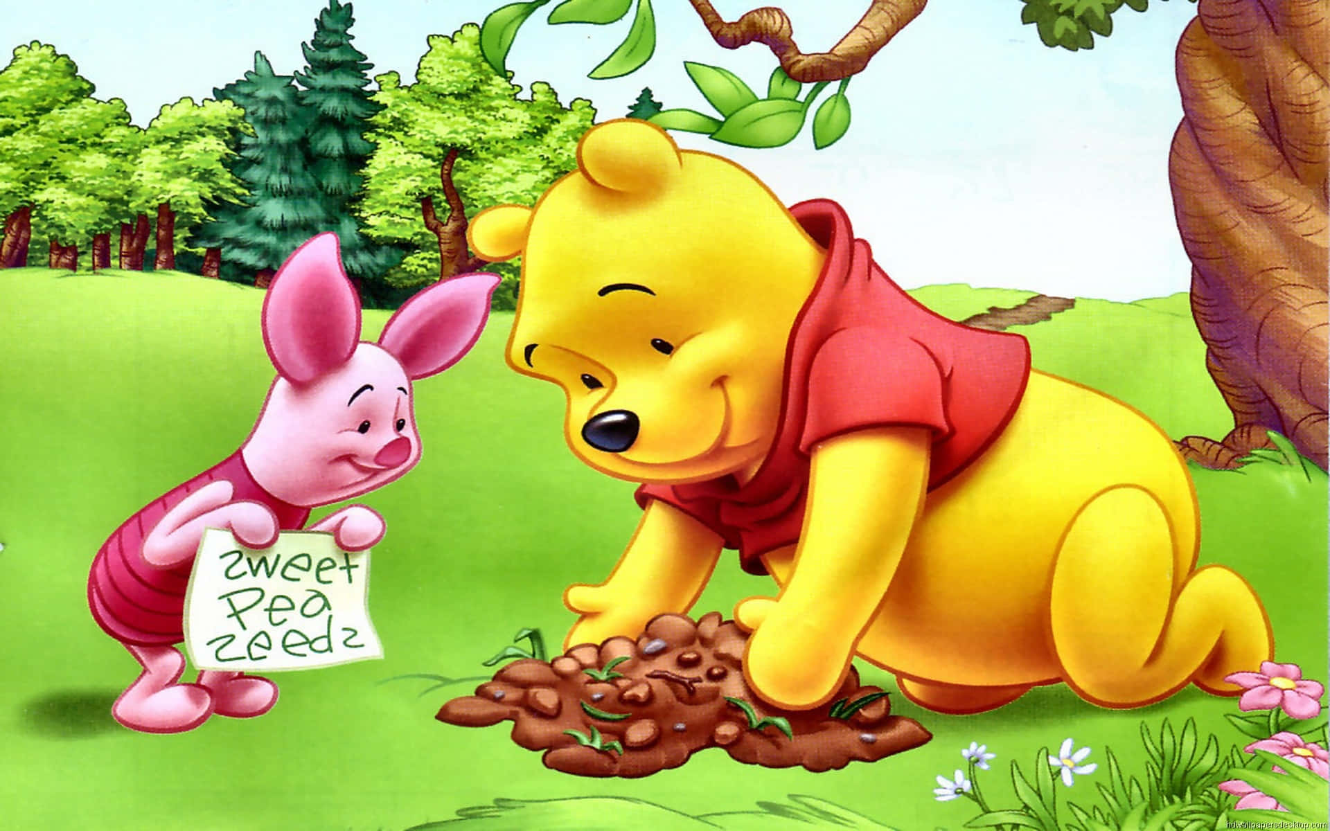 “cuddling With Winnie The Pooh” Background