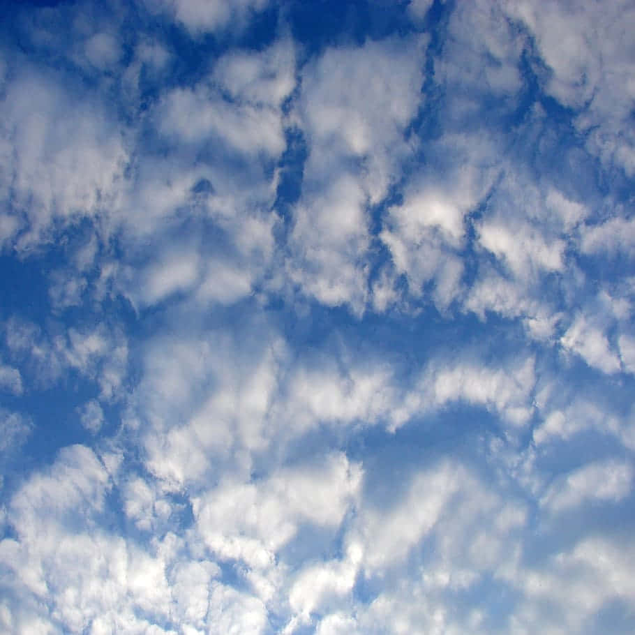 Cumulative Cirrocumulus Clouds Background