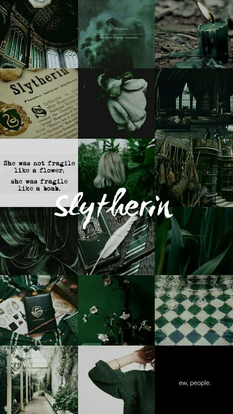 Cunning Slytherin Aesthetic