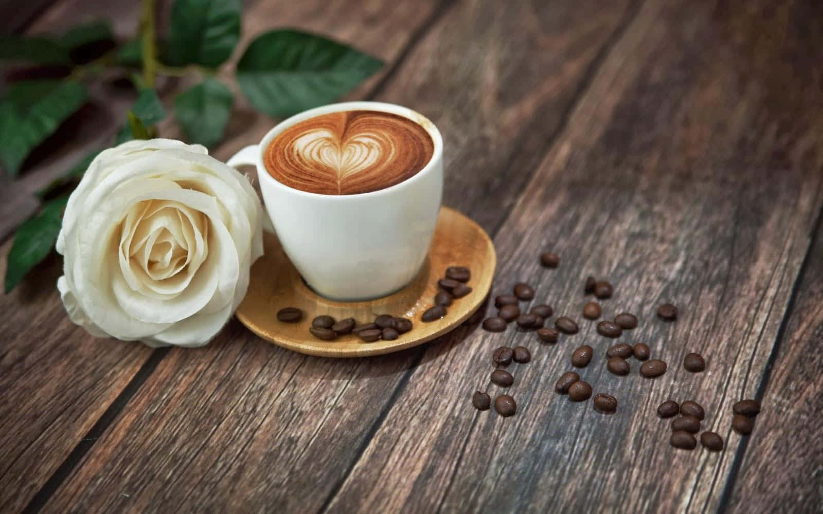 Cup Of Coffee And White Rose Background