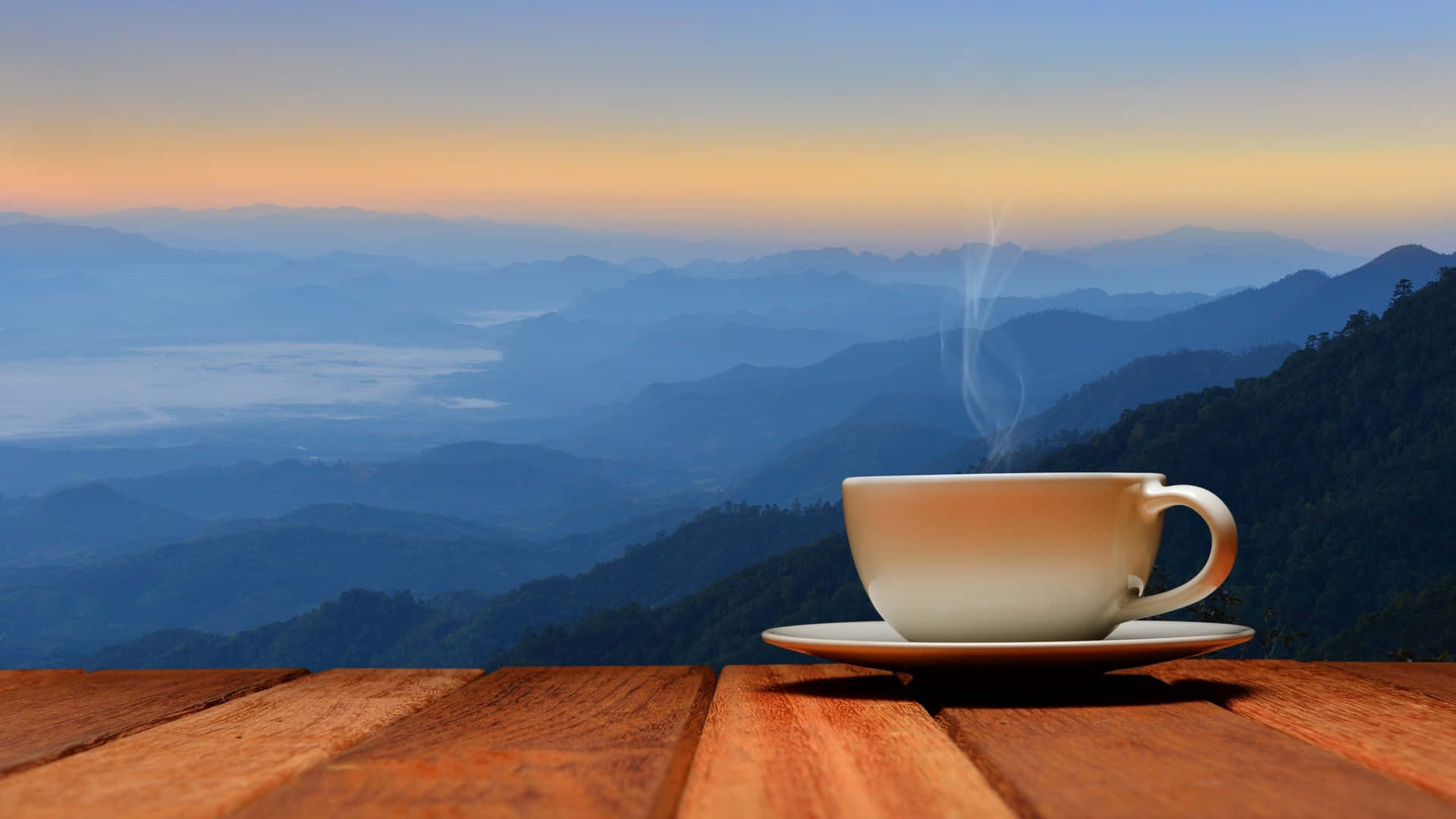 Cup Of Coffee With Nature