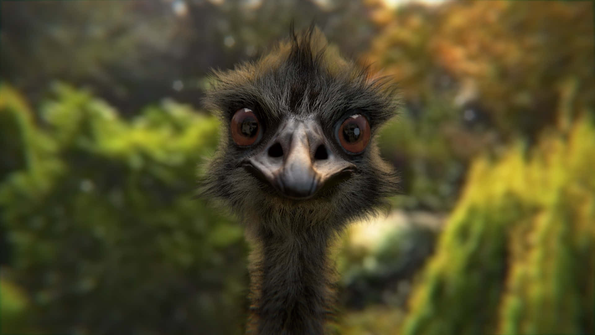 Curious Emu Close Up