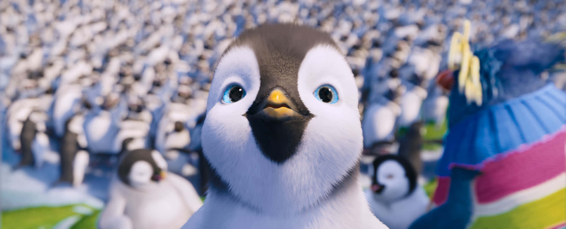 Curious Erik From Happy Feet Two Background