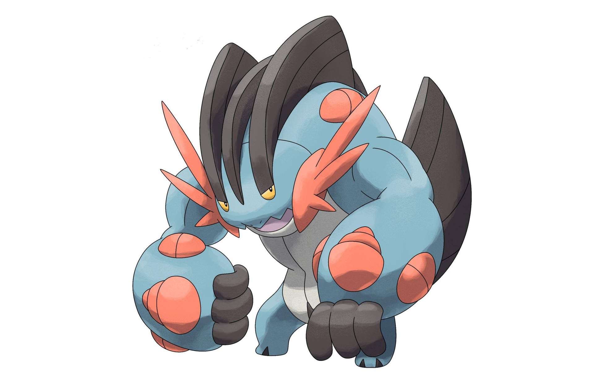 Curious Mega Swampert Background