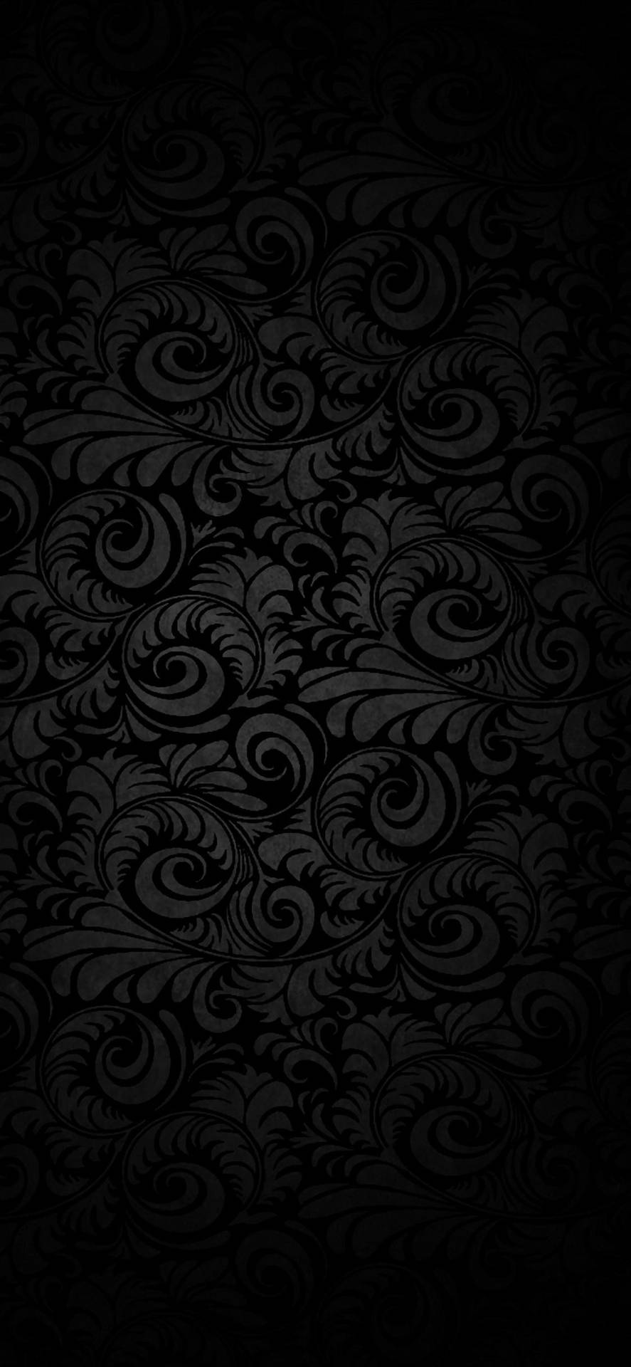 Curled Ferns Black Apple Iphone Background