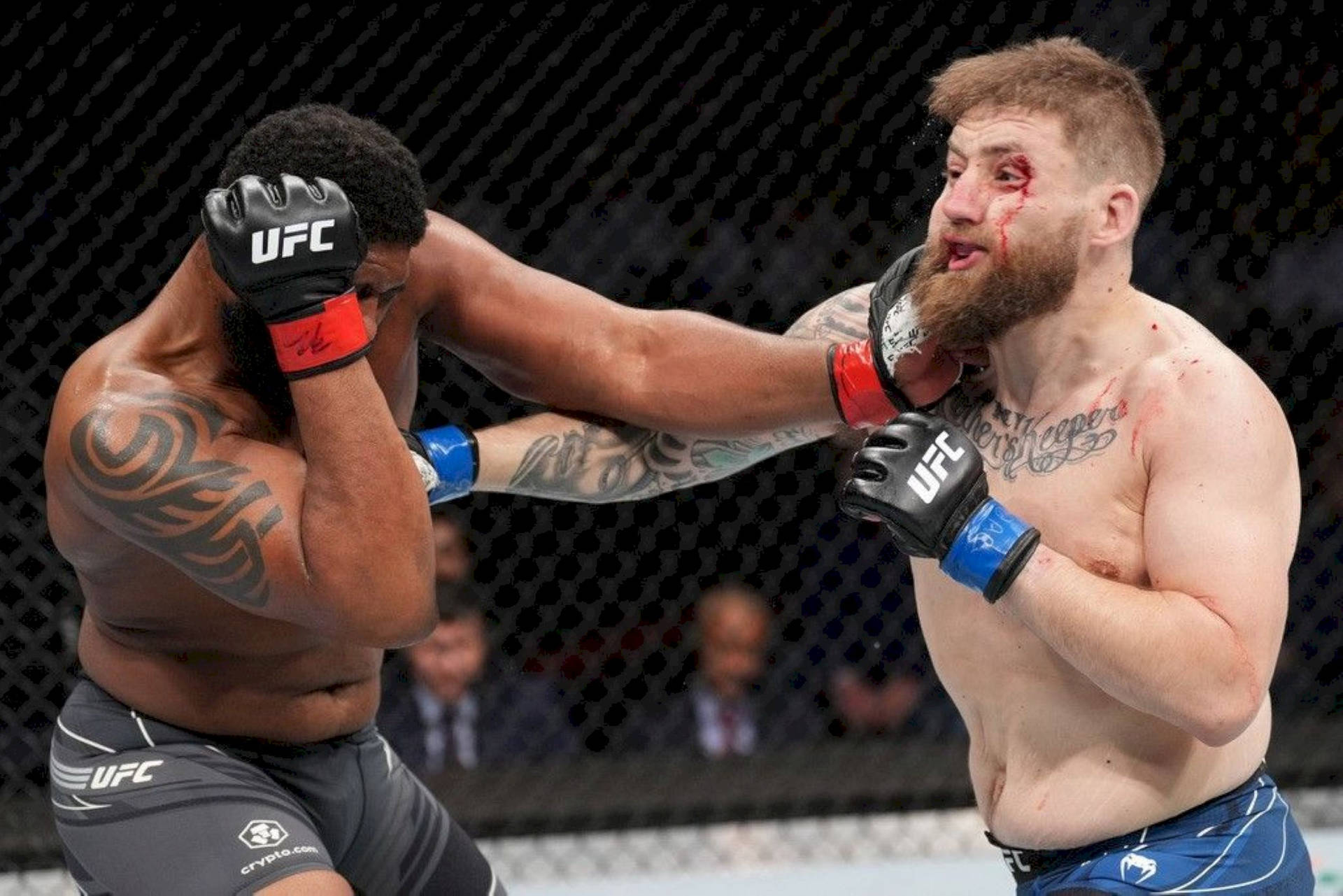 Curtis Blaydes Counter Punch