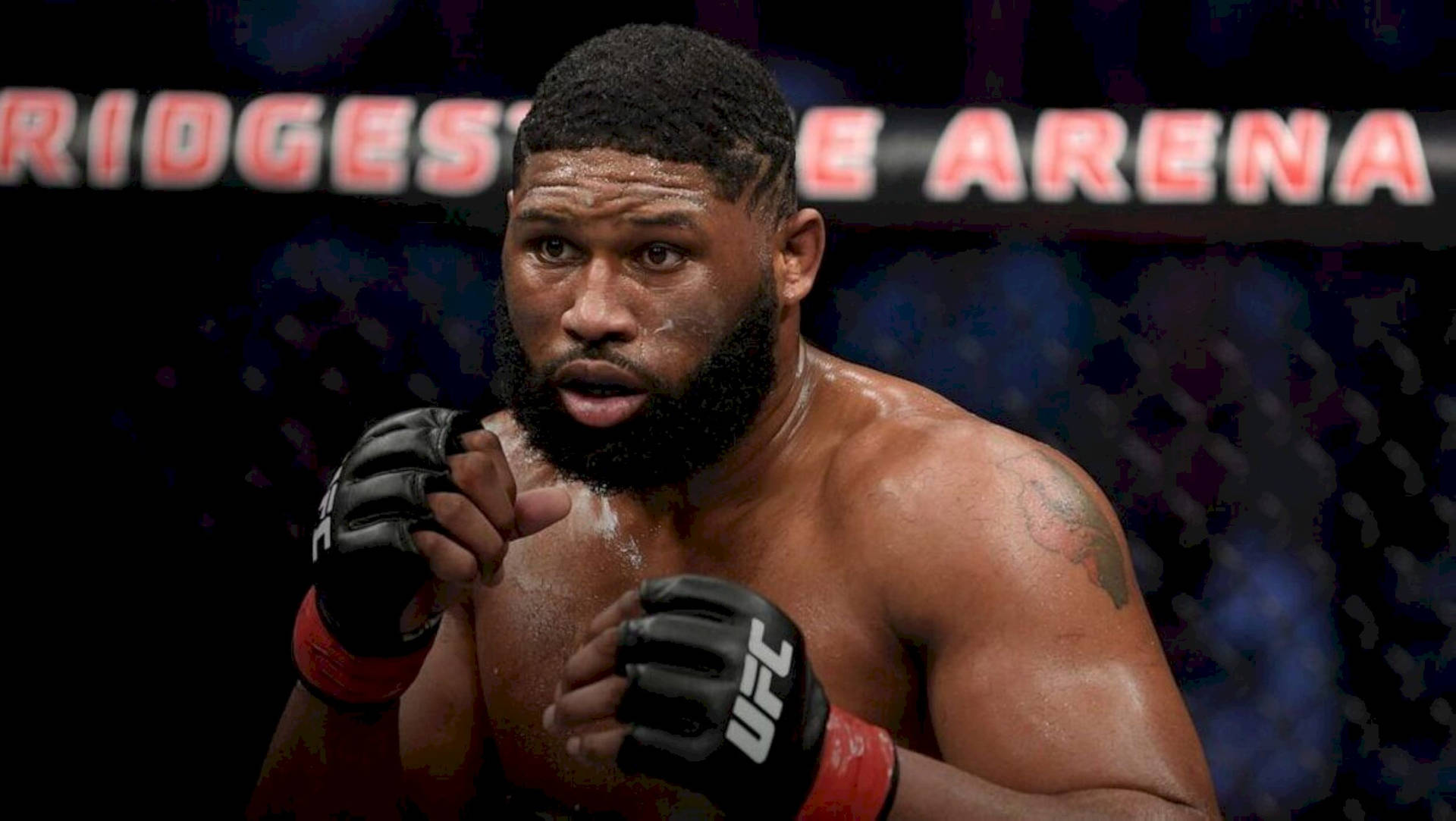 Curtis Blaydes Focused Background