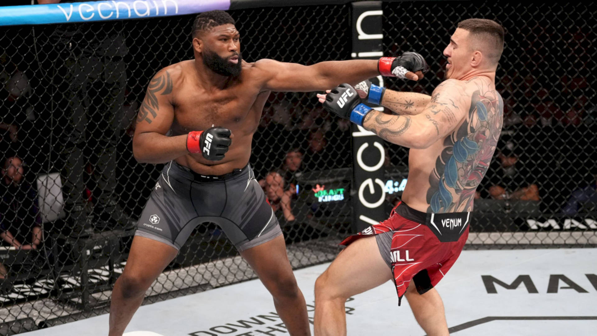 Curtis Blaydes Opponent Fall