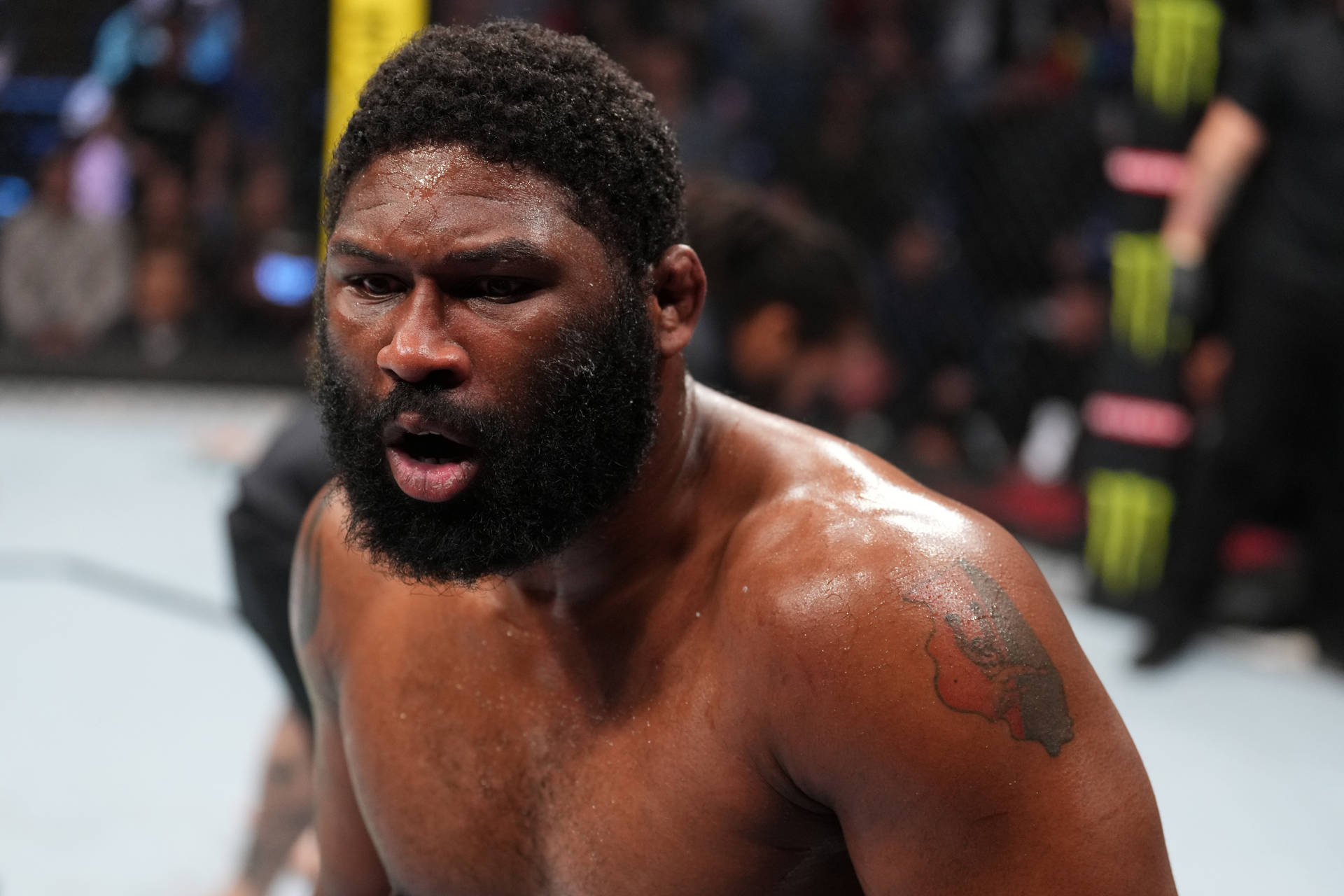 Curtis Blaydes Panting Background