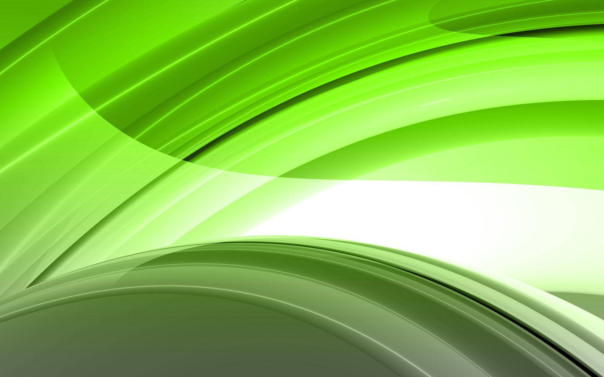 Curved Lines Light Green Background